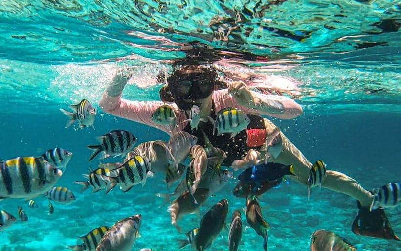 ️ Cebu: Mactan Private Island-Hopping Tour With Snorkeling 3