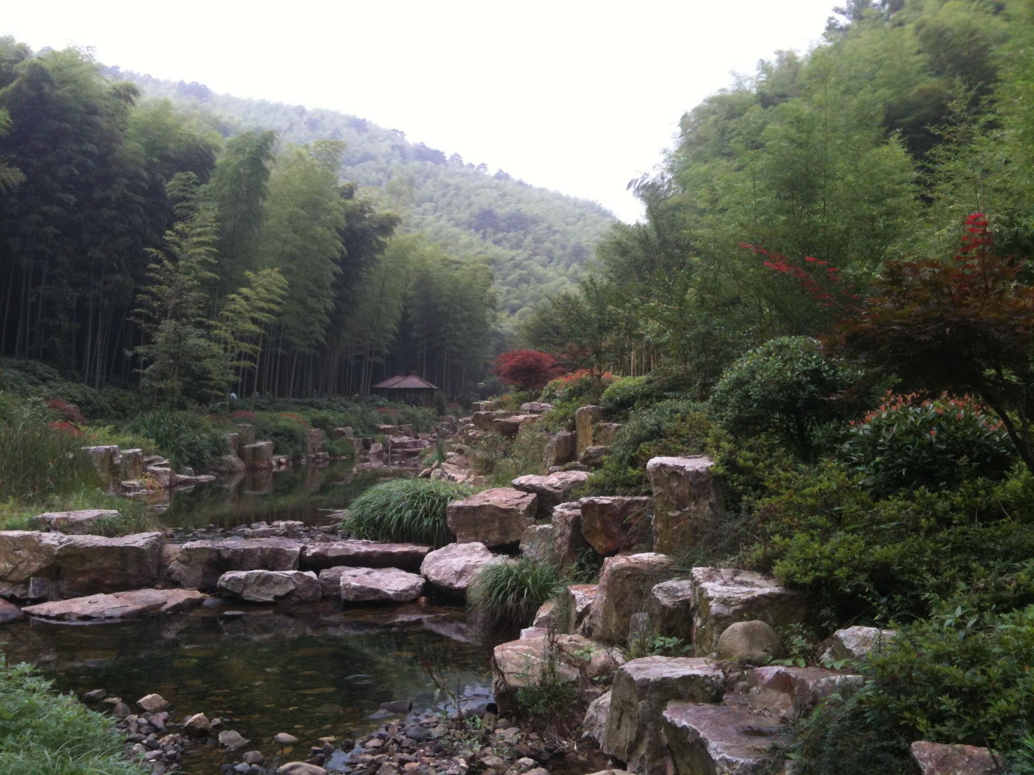 Shanghai: Yixing Bamboo Sea & Ancient Trail Day Trip 2