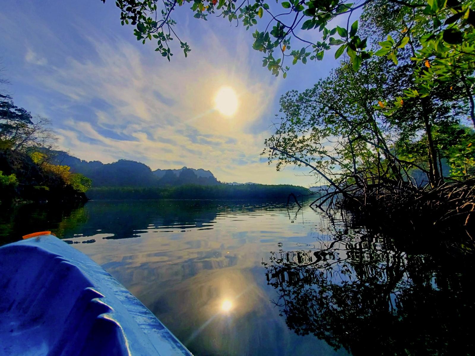 Langkawi: Golden Hour Mangrove Kayaking 3