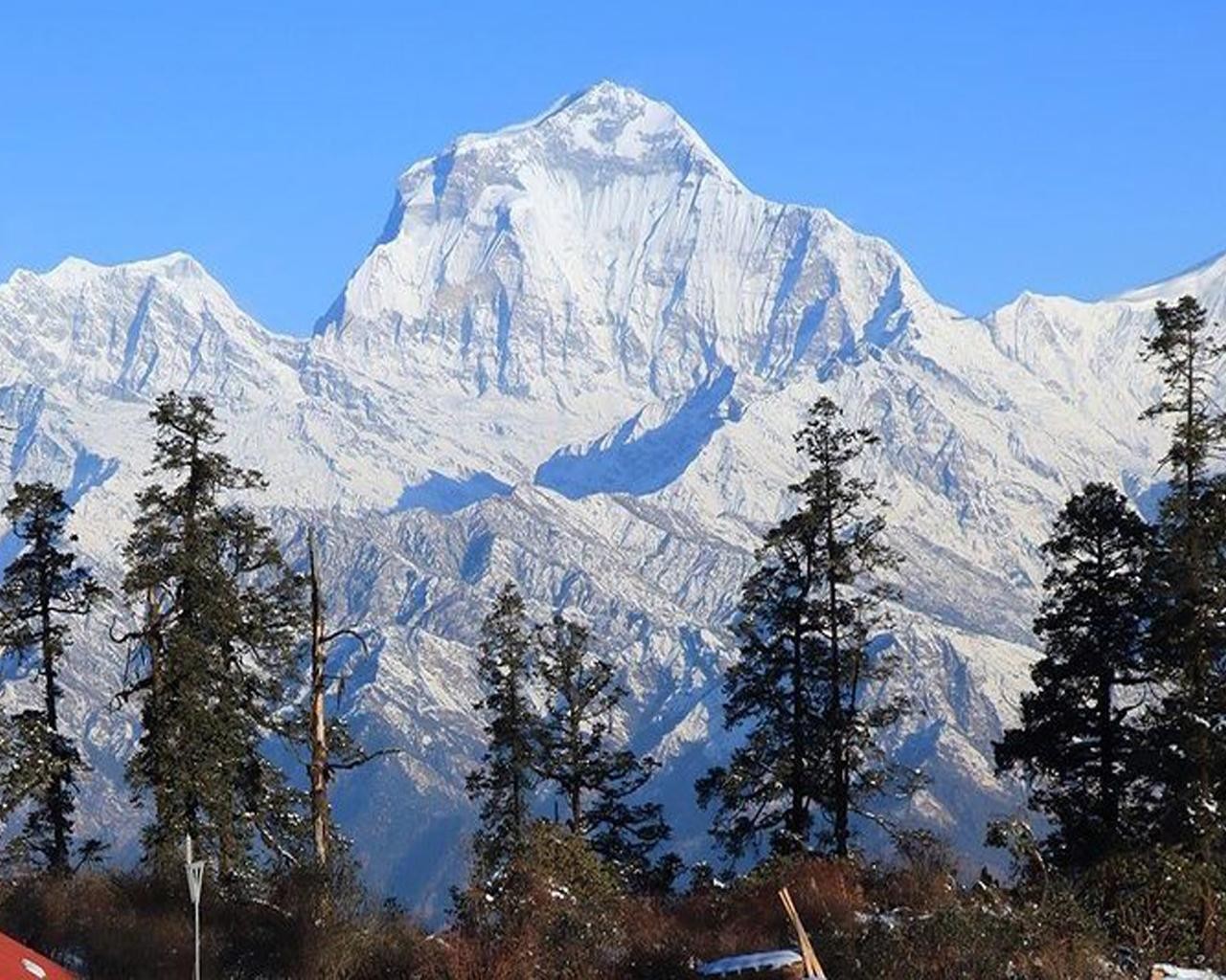 Hidden Himalayas: 8-Day Mohare Danda Trek via Nagi Village 3