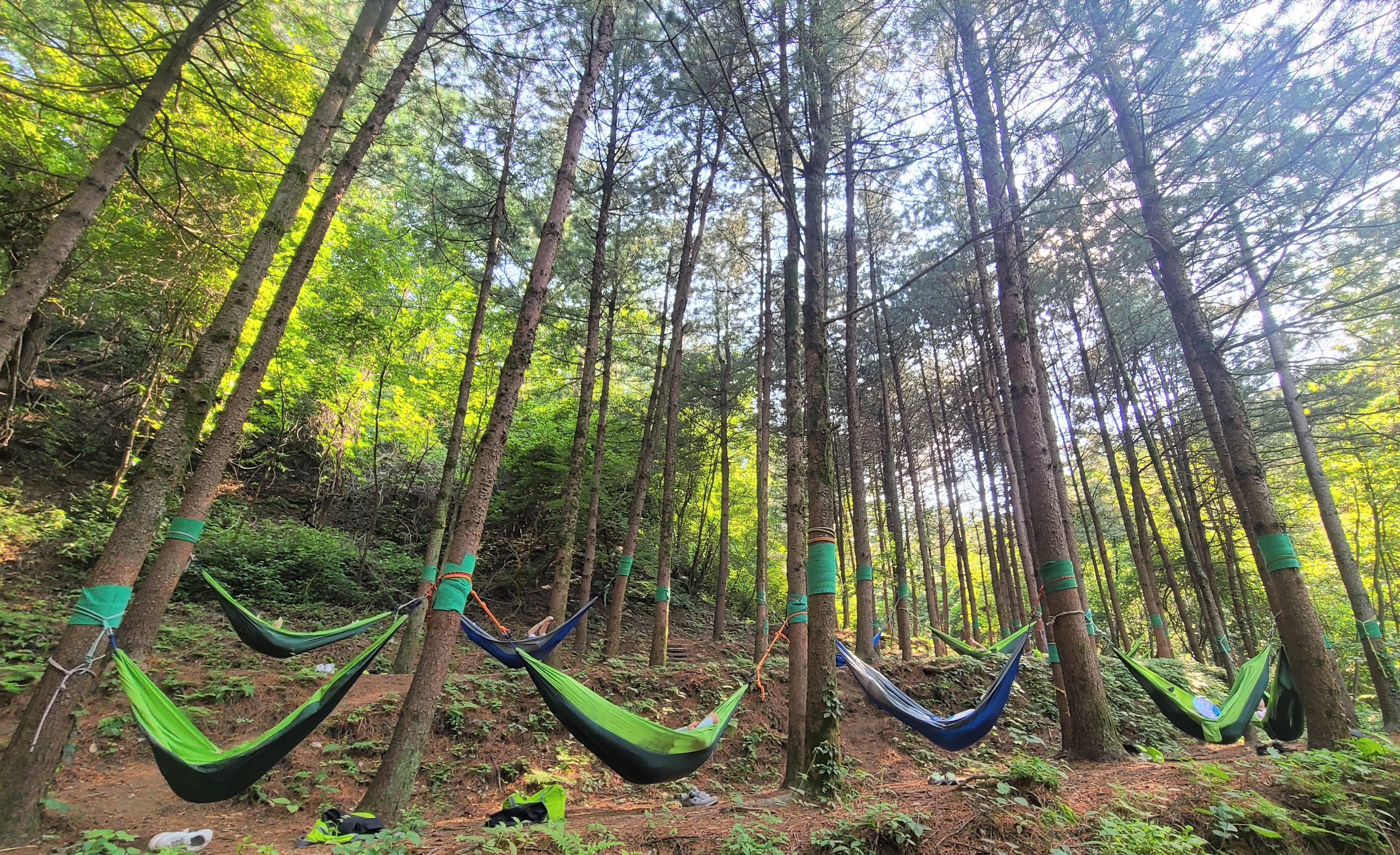 From Gyeongju: Gyeongju, Andong & Yeongju 3-Day healing Tour 3
