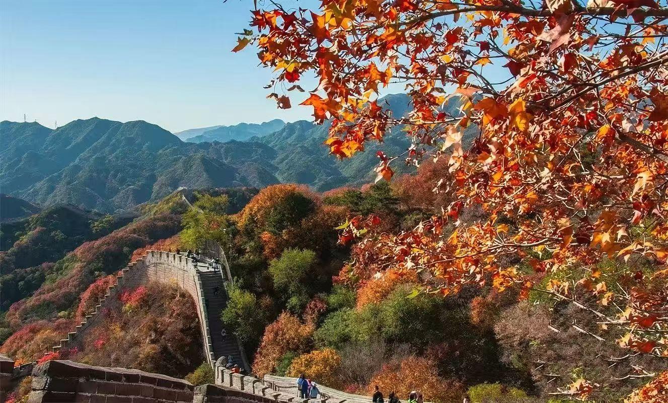 Mutianyu Great Wall Bus Tour with Ticket & Toboggan Options 3