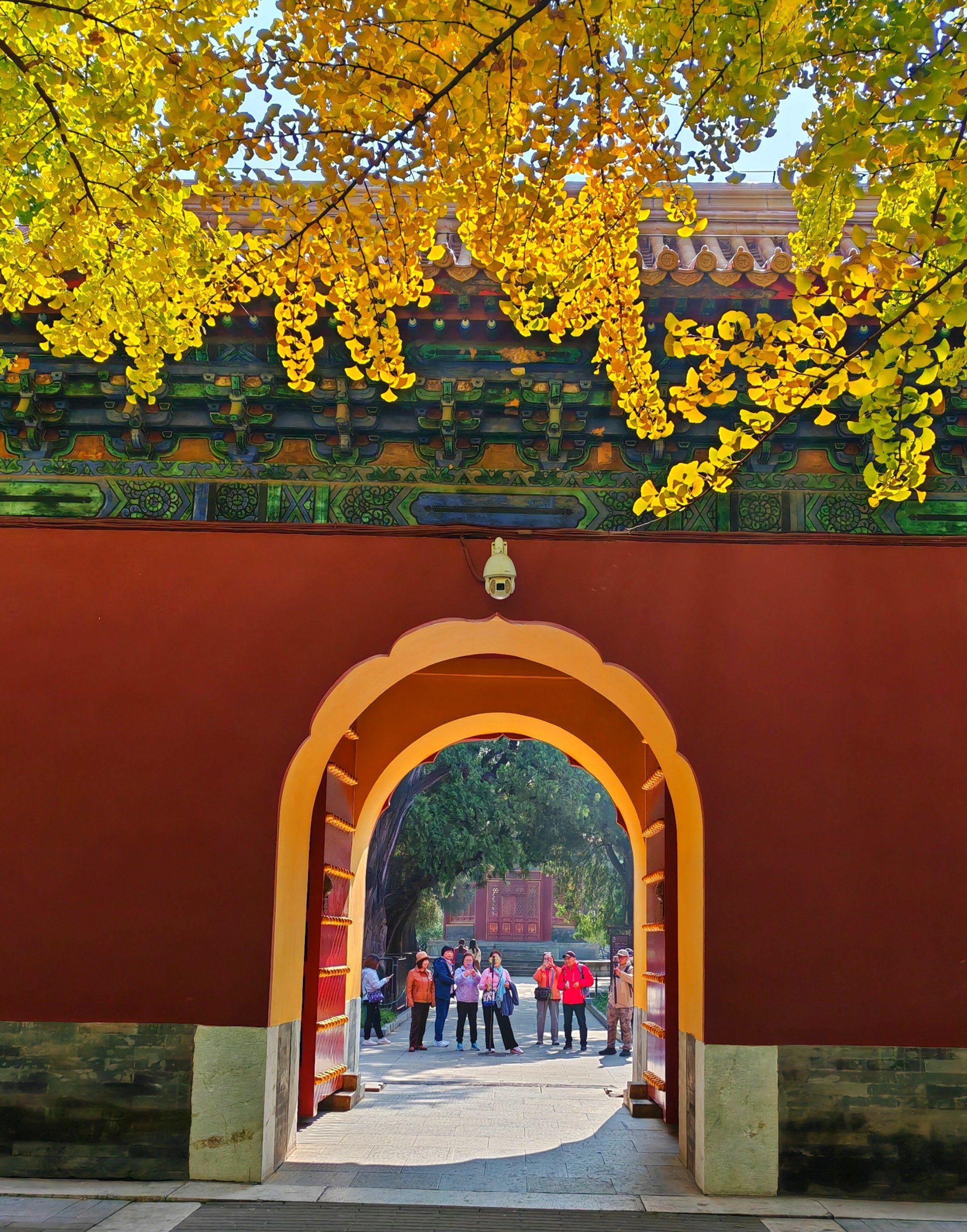 Beijing: Zhongshan Park Entry Ticket 3