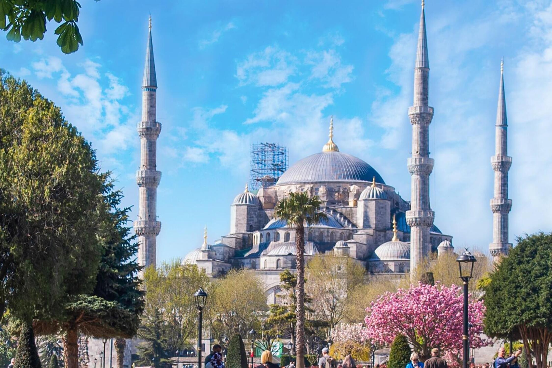 Istanbul: Blue Mosque Guided Tour 2