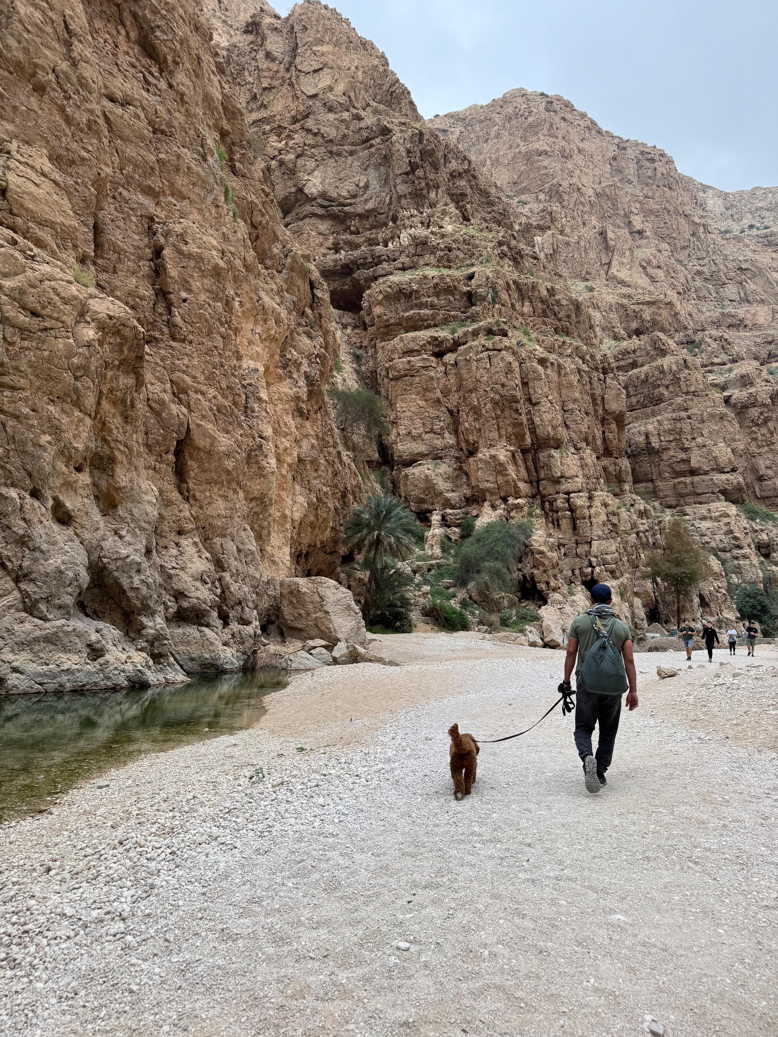 Wadi Shab: Hiking Tour with Cave Swim & Waterfall Visit