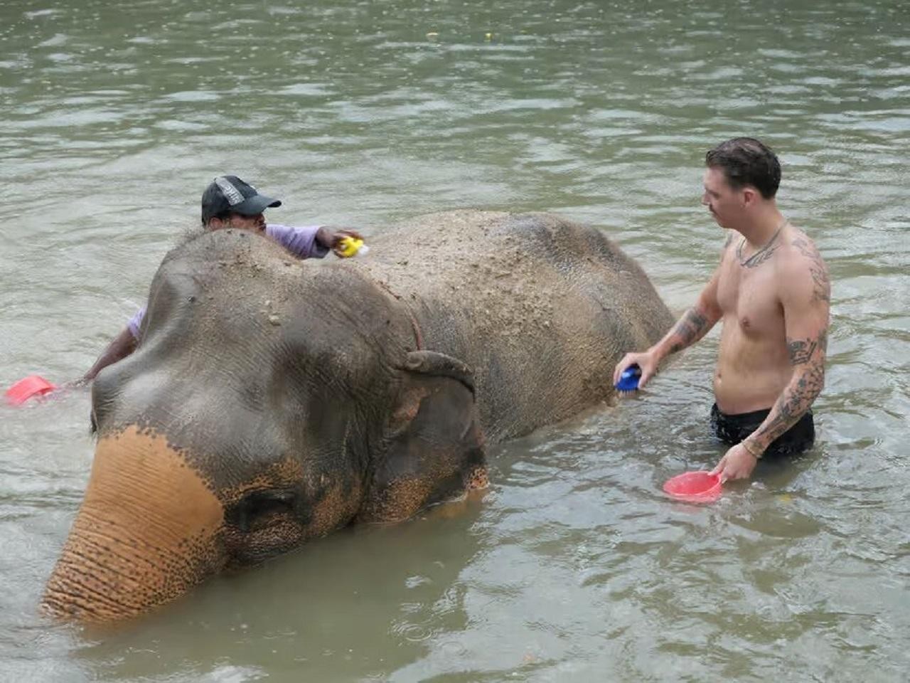 Jaipur: Elephant Sanctuary & Local Village Experience 3