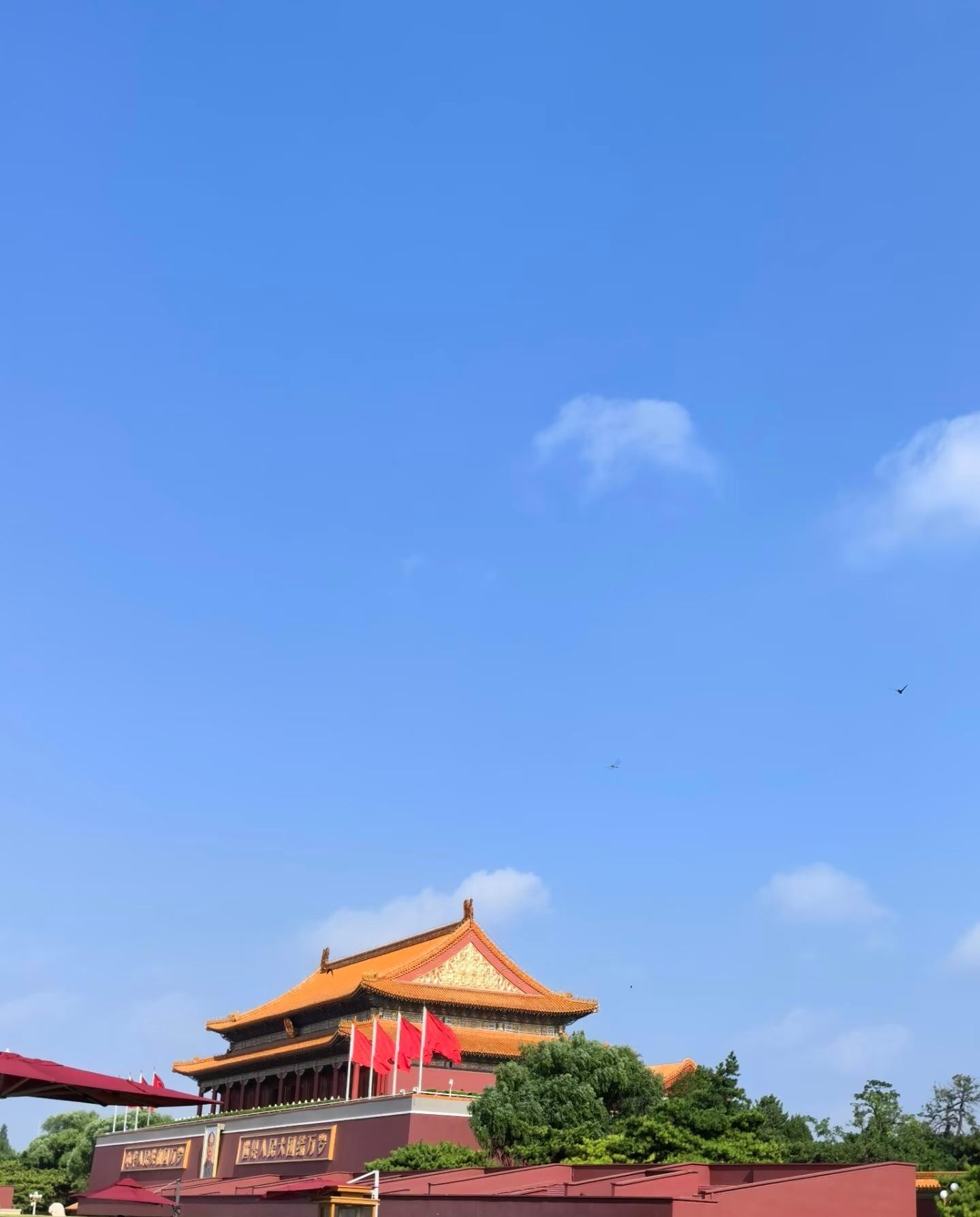 Beijing Private Tour:Tiananmen,Forbidden City&Car Charter 3