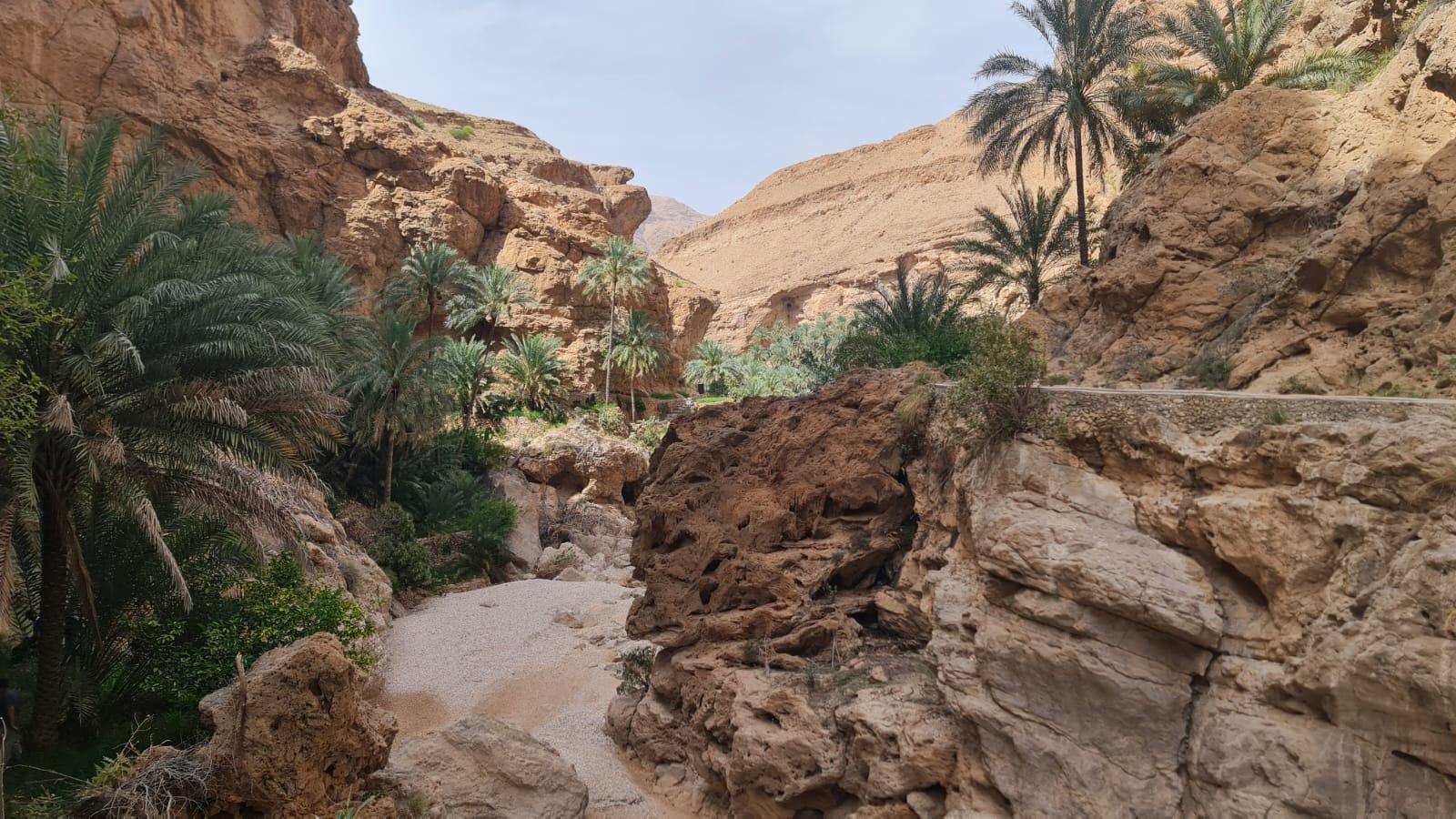 Muscat: Wadi Al Jahal & Old Village & Bimmah Sinkhole Tour 3