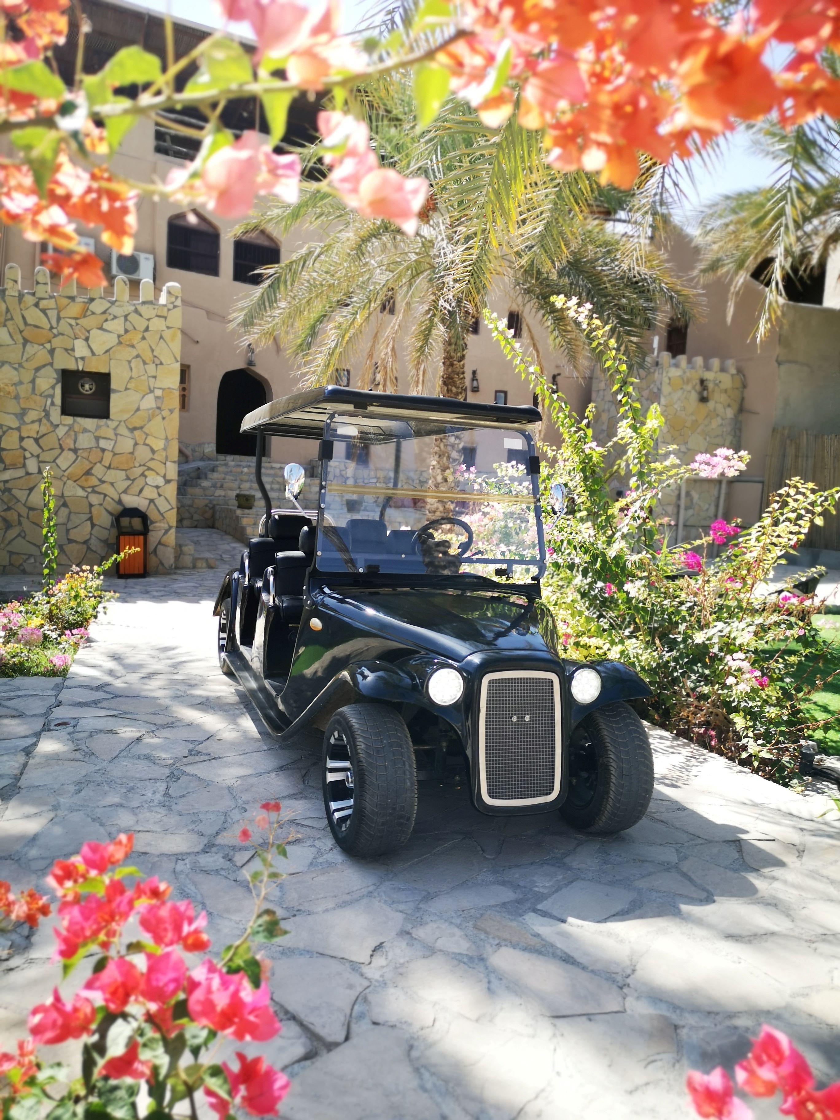 From Jebel Akhdar: Al Aqur Village Cultural Cart Tour