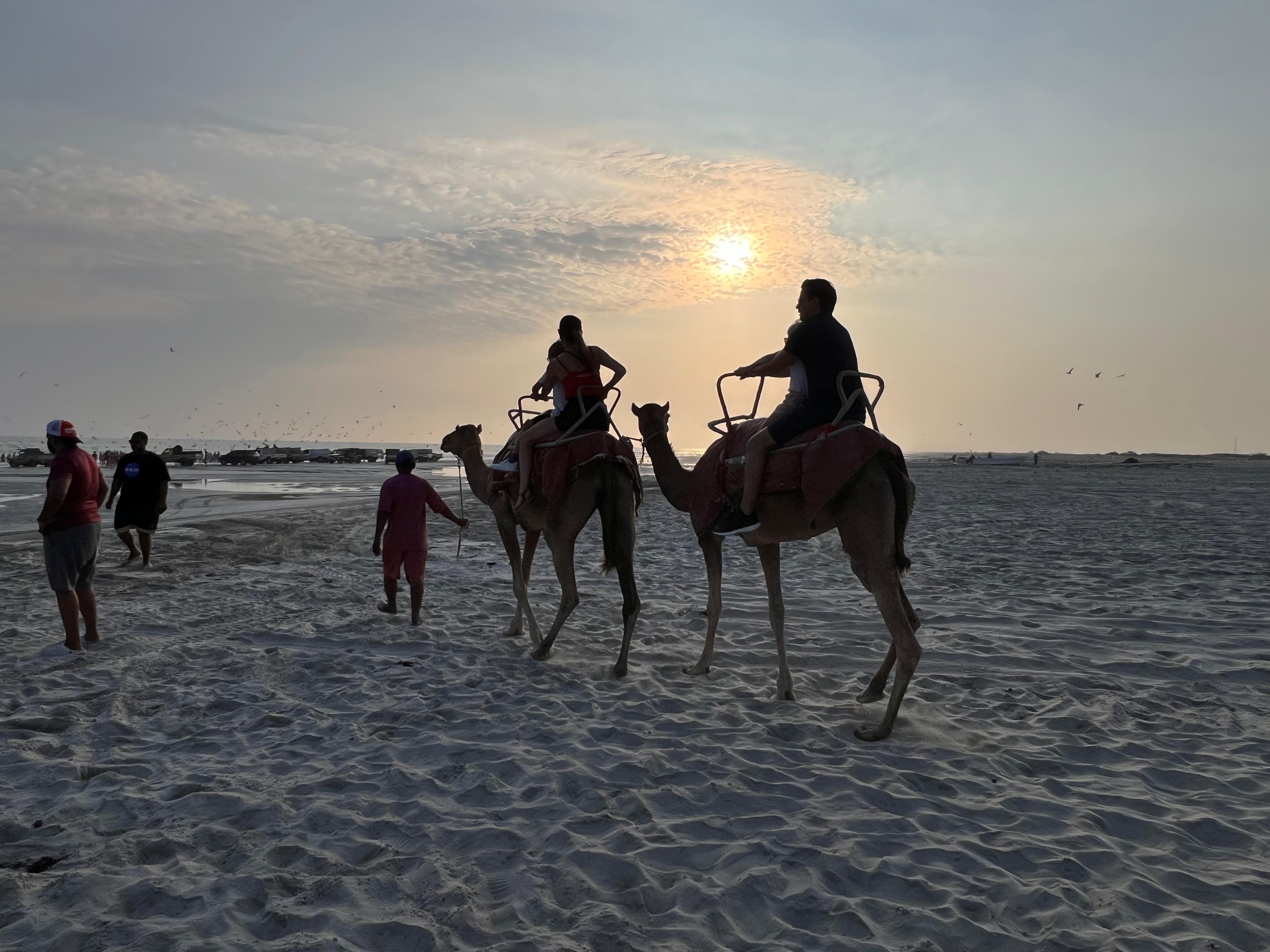 Salalah: Camel Riding on the Beach