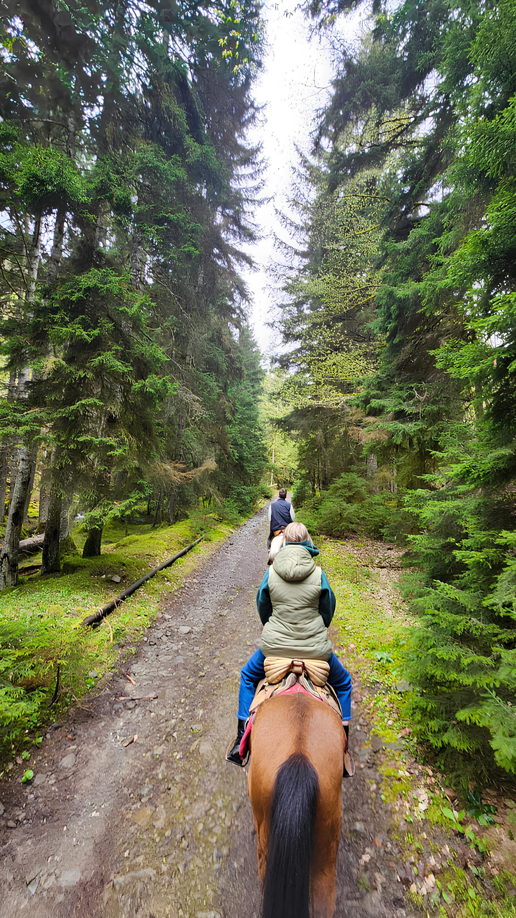 Horse Riding Adventure in Borjomi National Park from Tbilisi 3