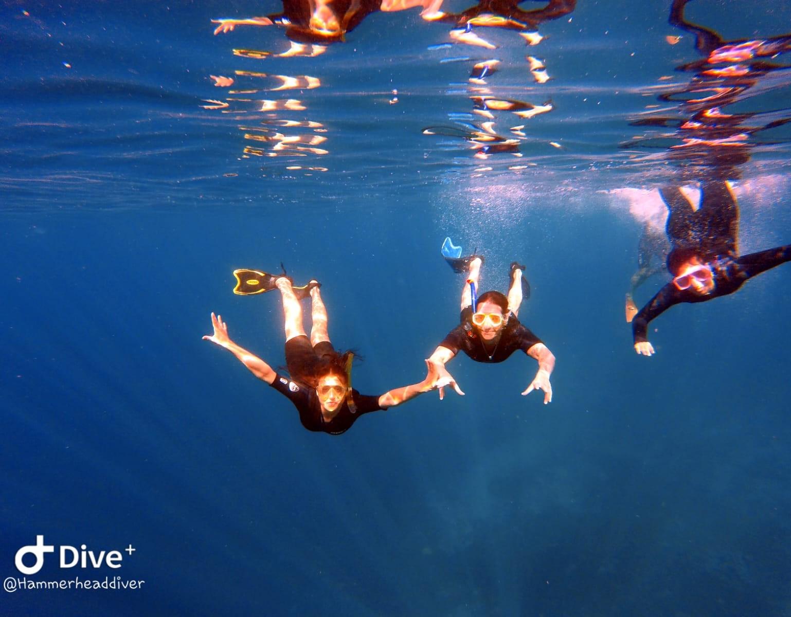 Snorkeling trip with pick up and guide