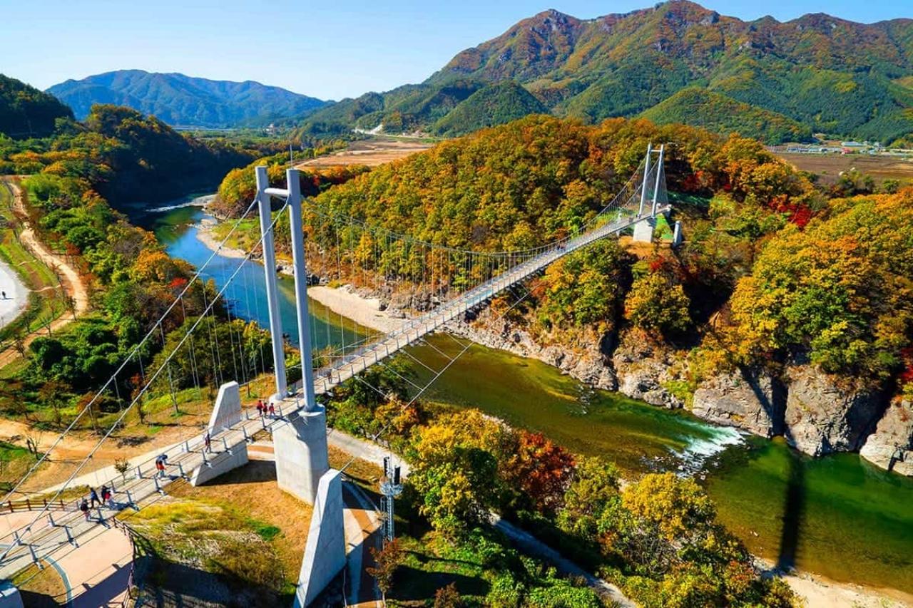 Pocheon Day Trip with Herb Island, Hantan GEO Park & Others