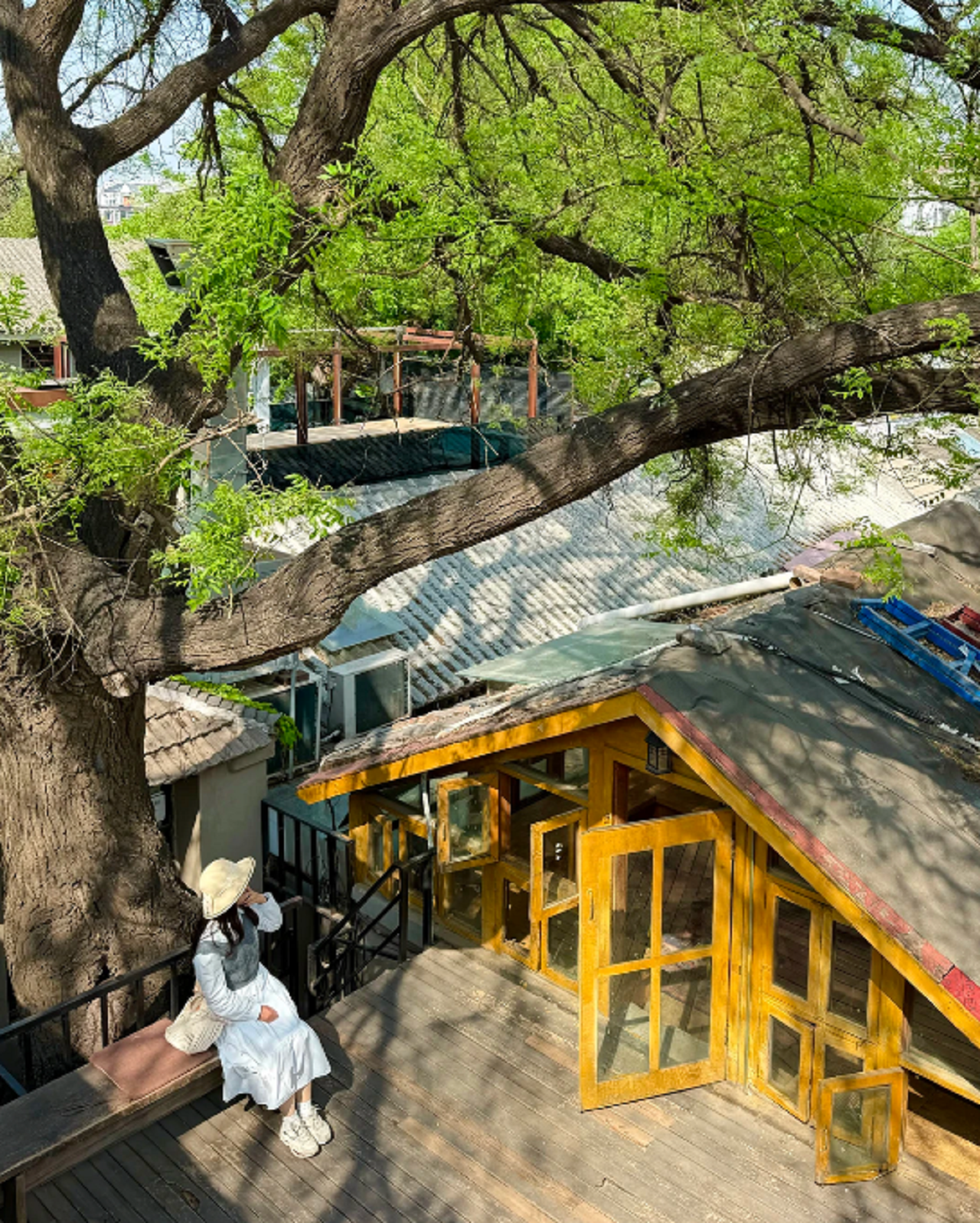 Beijing Tiananmen & Hutong Tour (Nanluoguxiang)