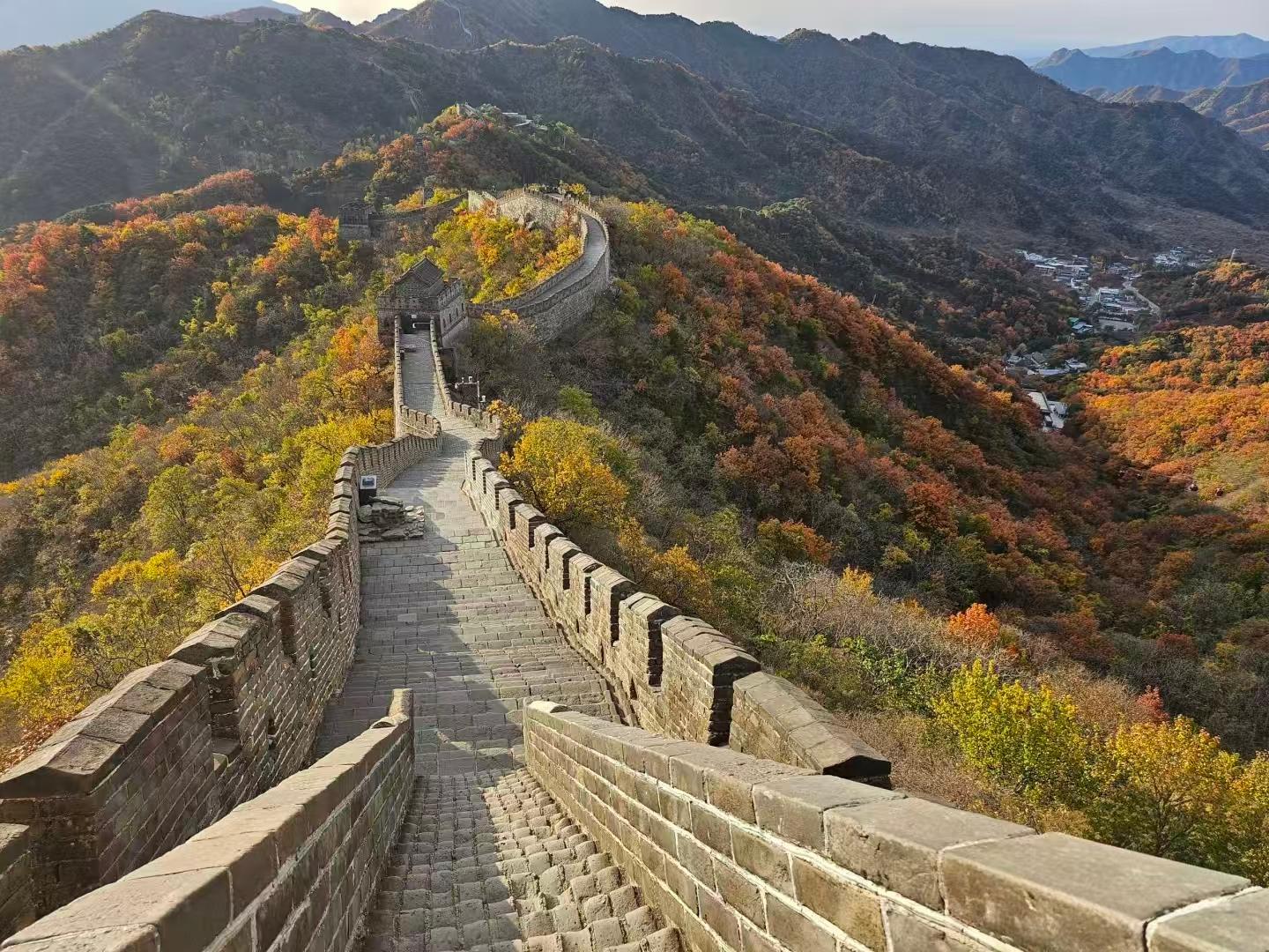 Beijing: Mutianyu Great Wall and Panda House Private Tour