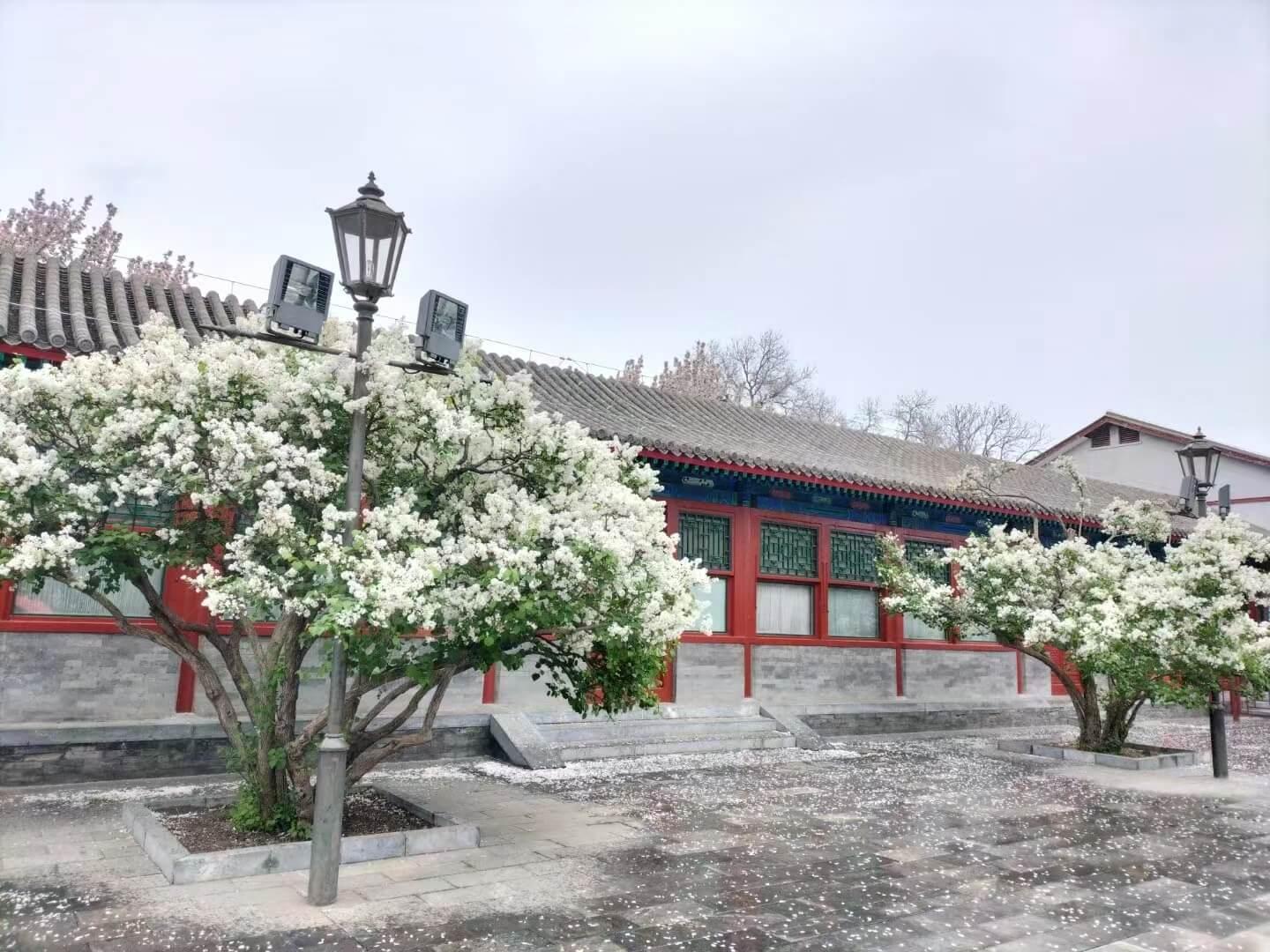 Beijing: Forbidden City, Tiananmen Square, & Great Wall Tour