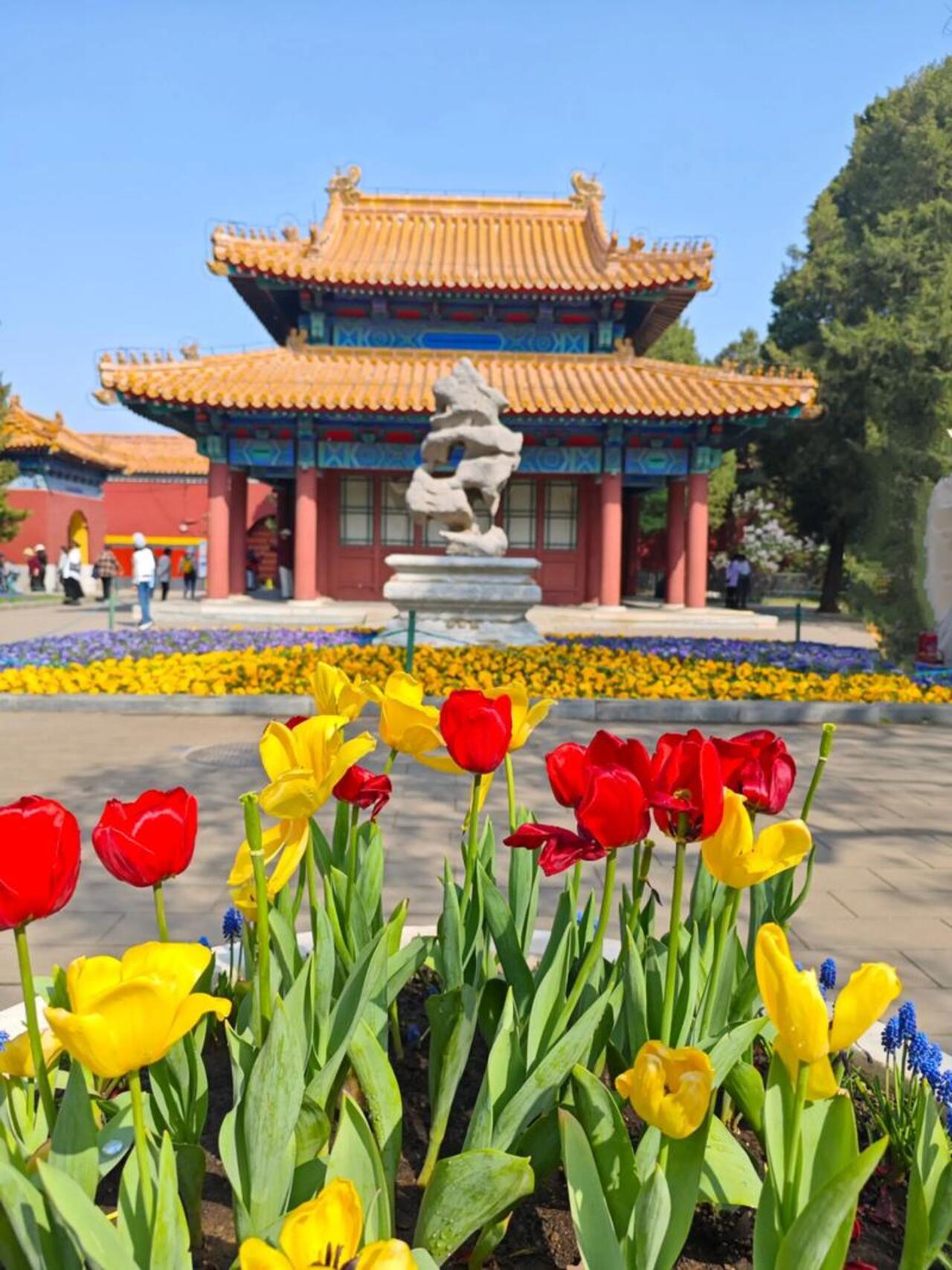 Beijing: Zhongshan Park Entry Ticket