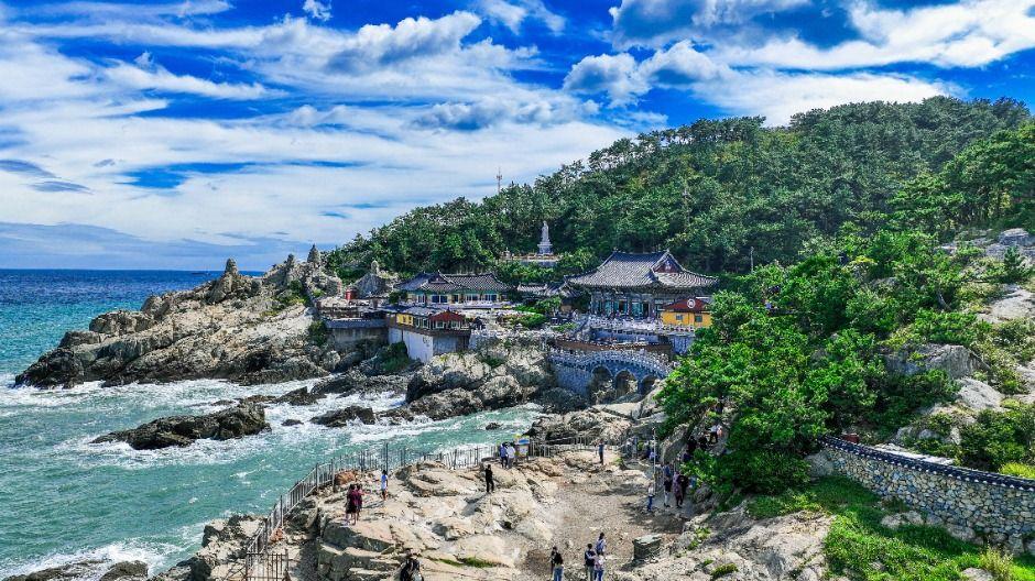 Busan: Private Movie Filming Locations Tour with Guide 2