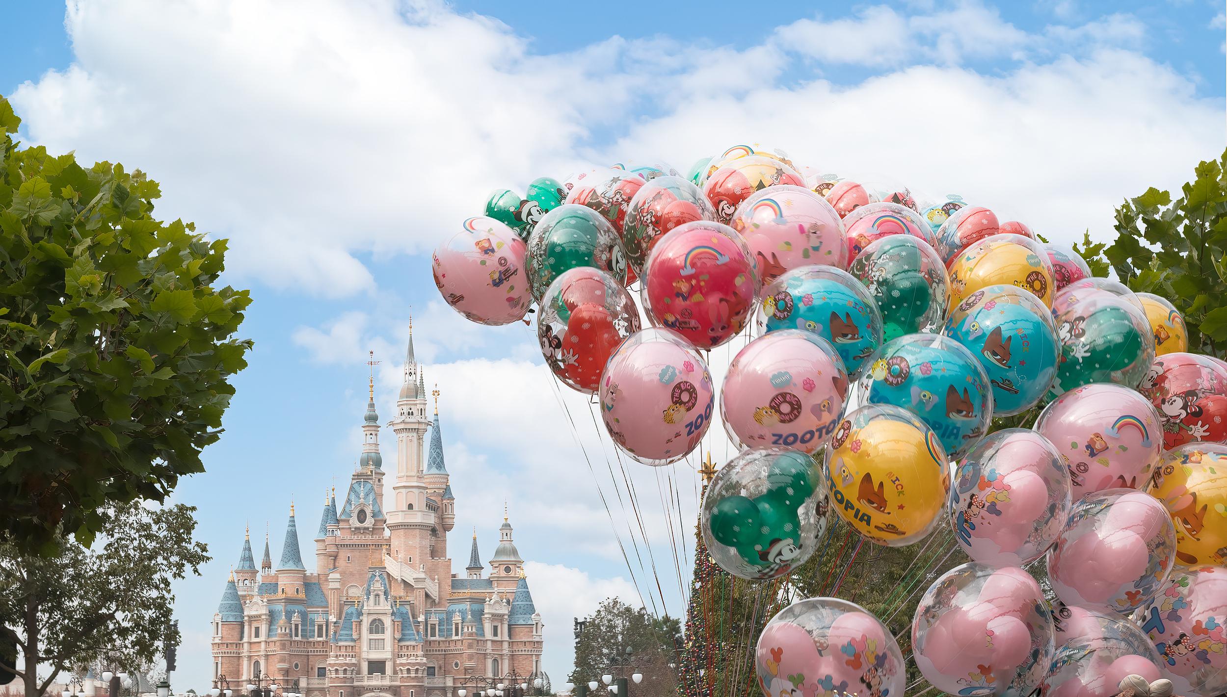 Shanghai Disneyland Guided Tour: 6-Hour Group/Private