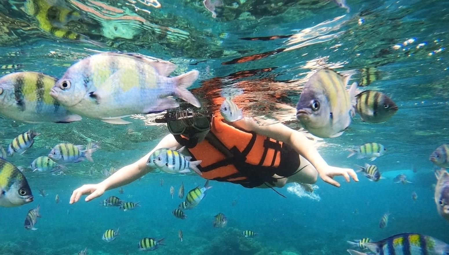 Salalah: Discover Mirbat's Snorkeling Paradise Guided Tour 3