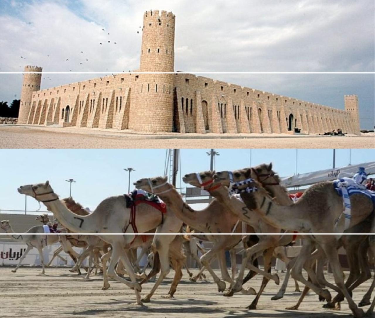 Doha Camel Racing Track: Oryx Farm & Sheikh Faisal Museum.