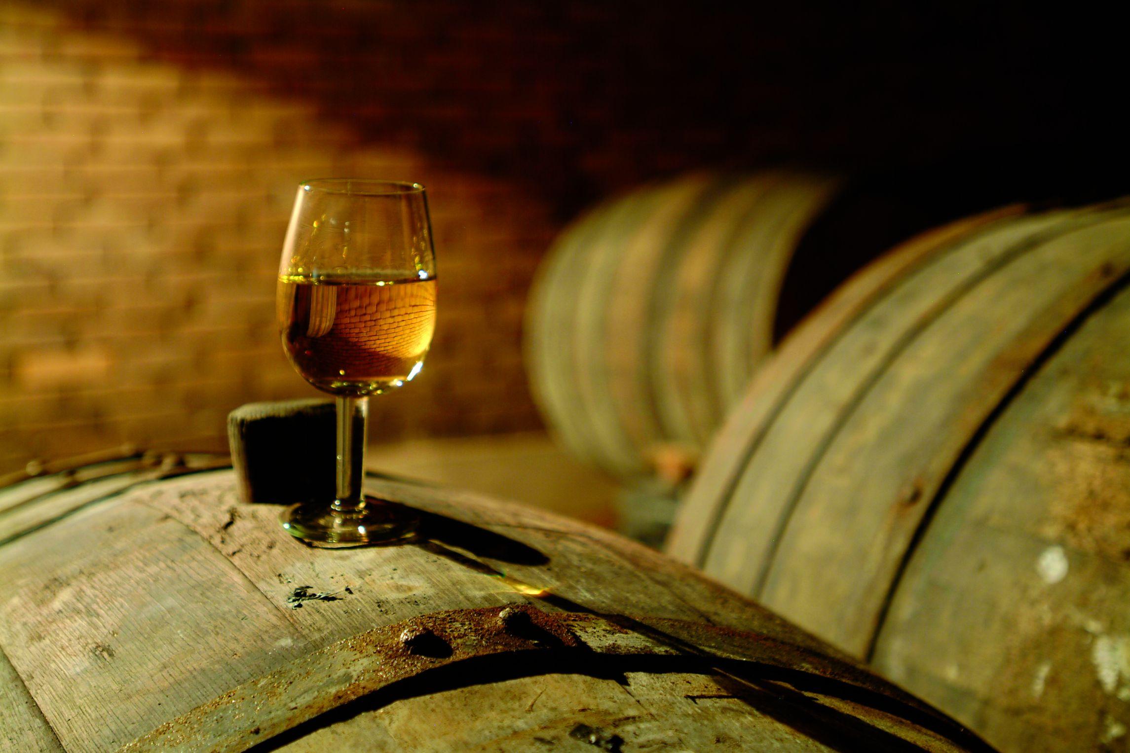 Tbilisi: Kakheti Wine Tour with Tastings & Lunch 2