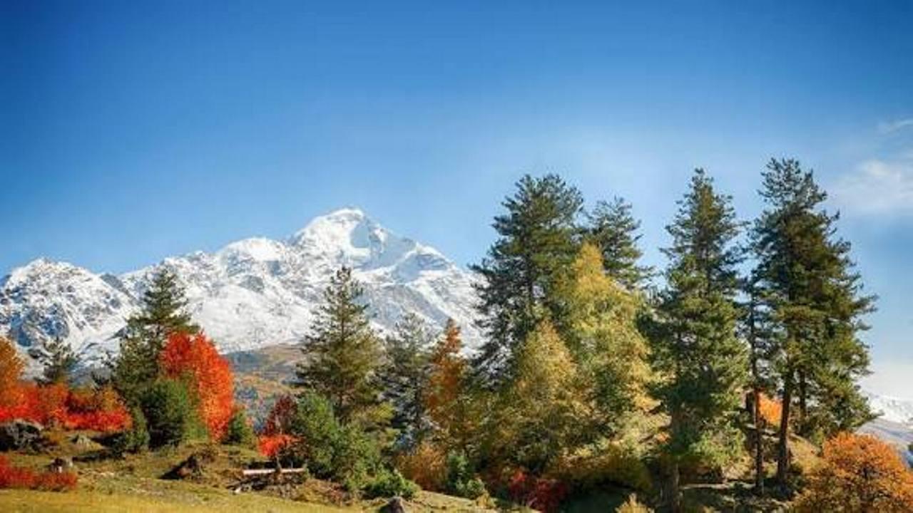 From Mestia: Heshkili Huts and Tetnuldi Mountain Tour 2