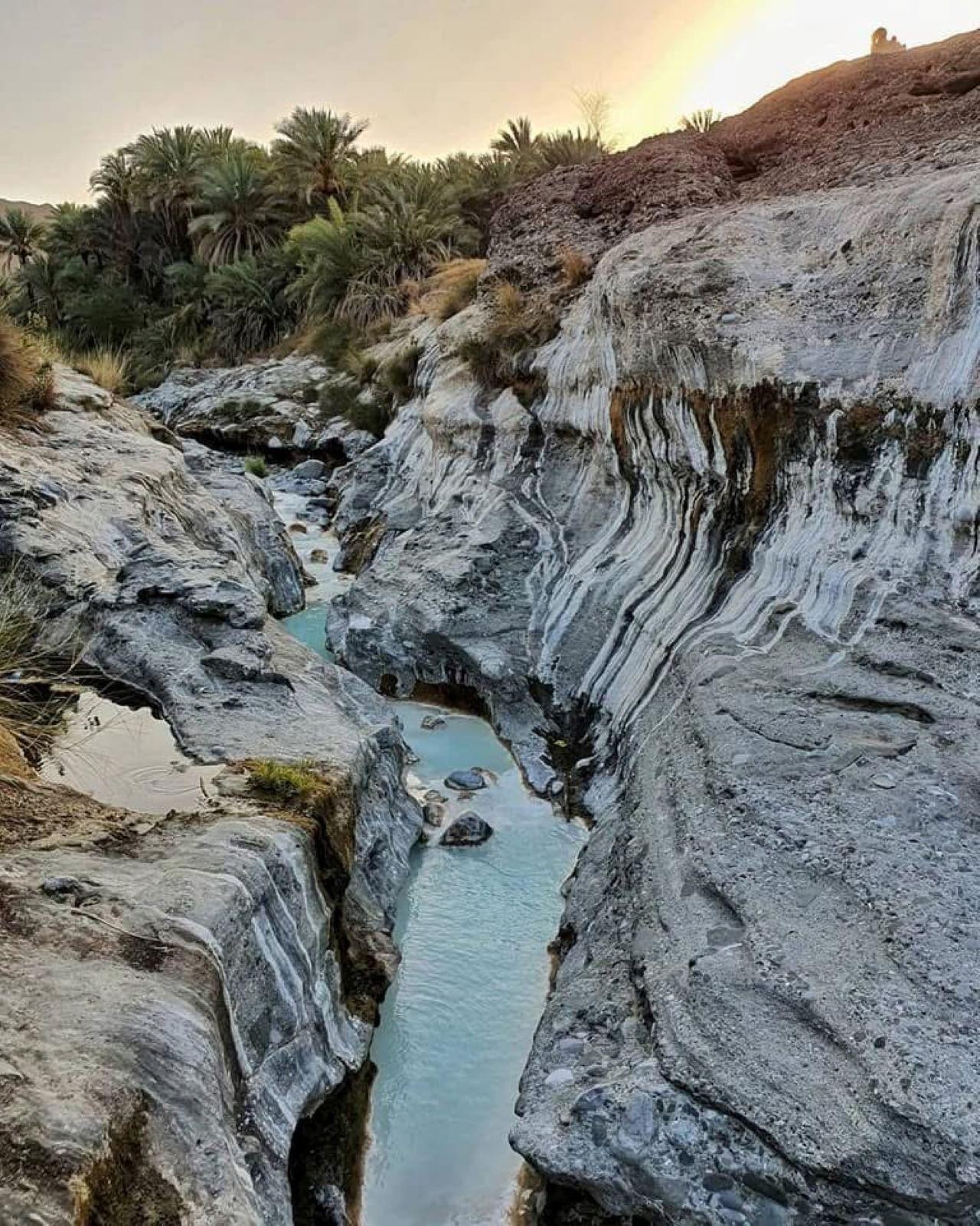 From Muscat: Wadi Al Huqain and Al Hazm Castle Day Trip 3