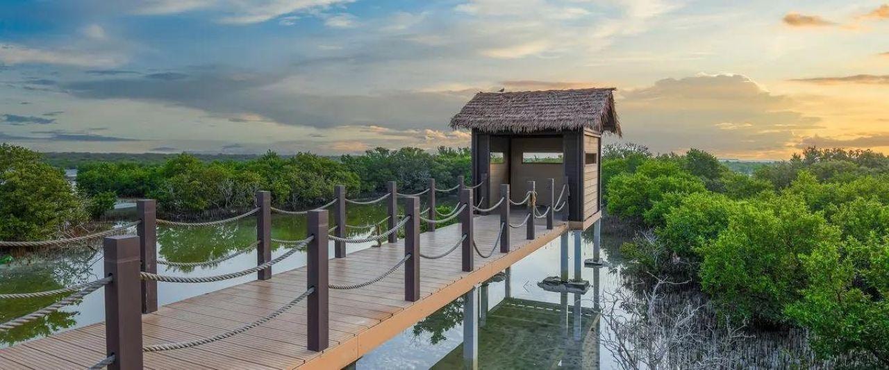 Doha: North Qatar Heritage Tour with Mangroves & UNESCO Fort 2