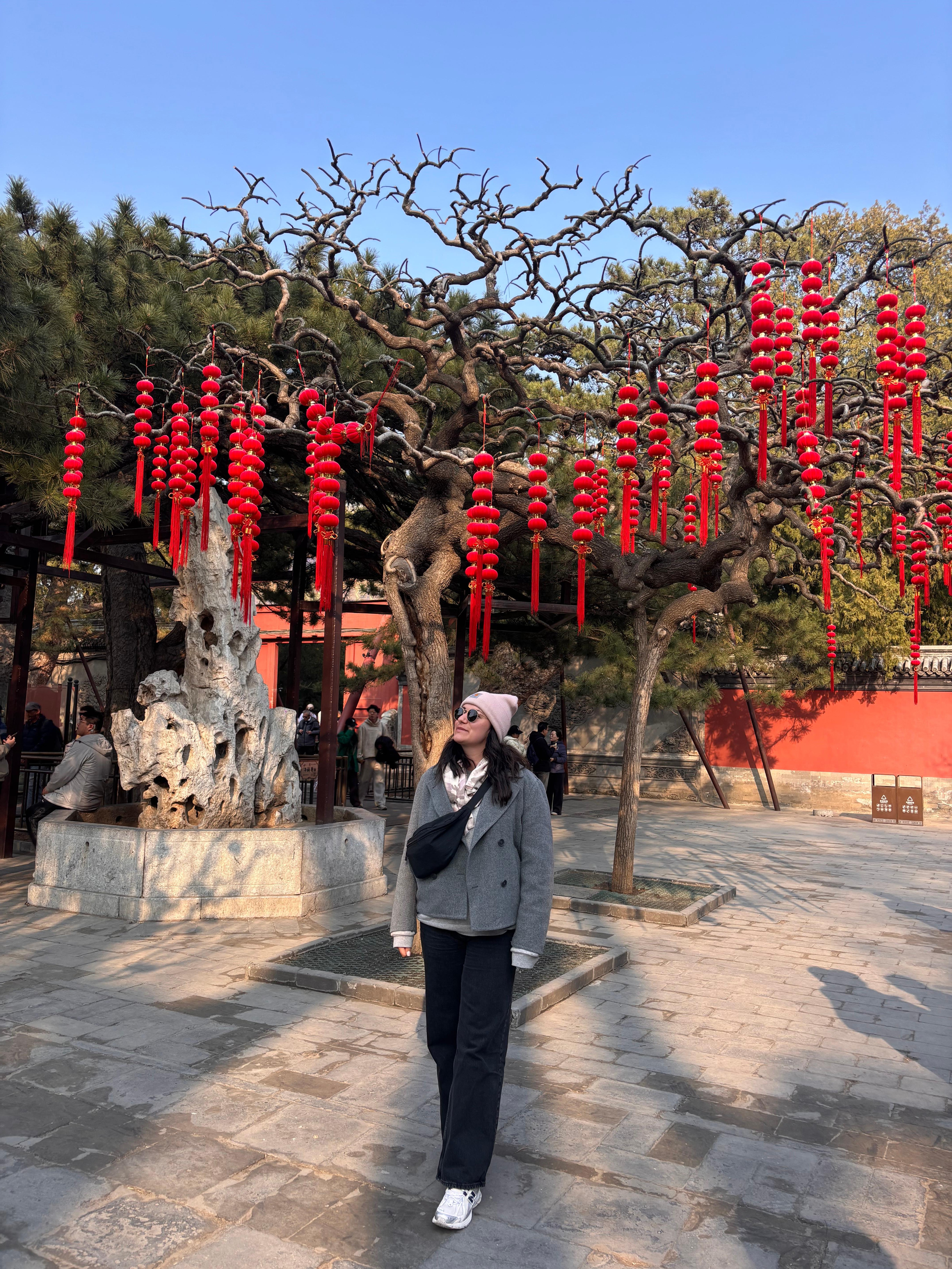 Beijing: Forbidden City & Summer Palace Private Tour 2