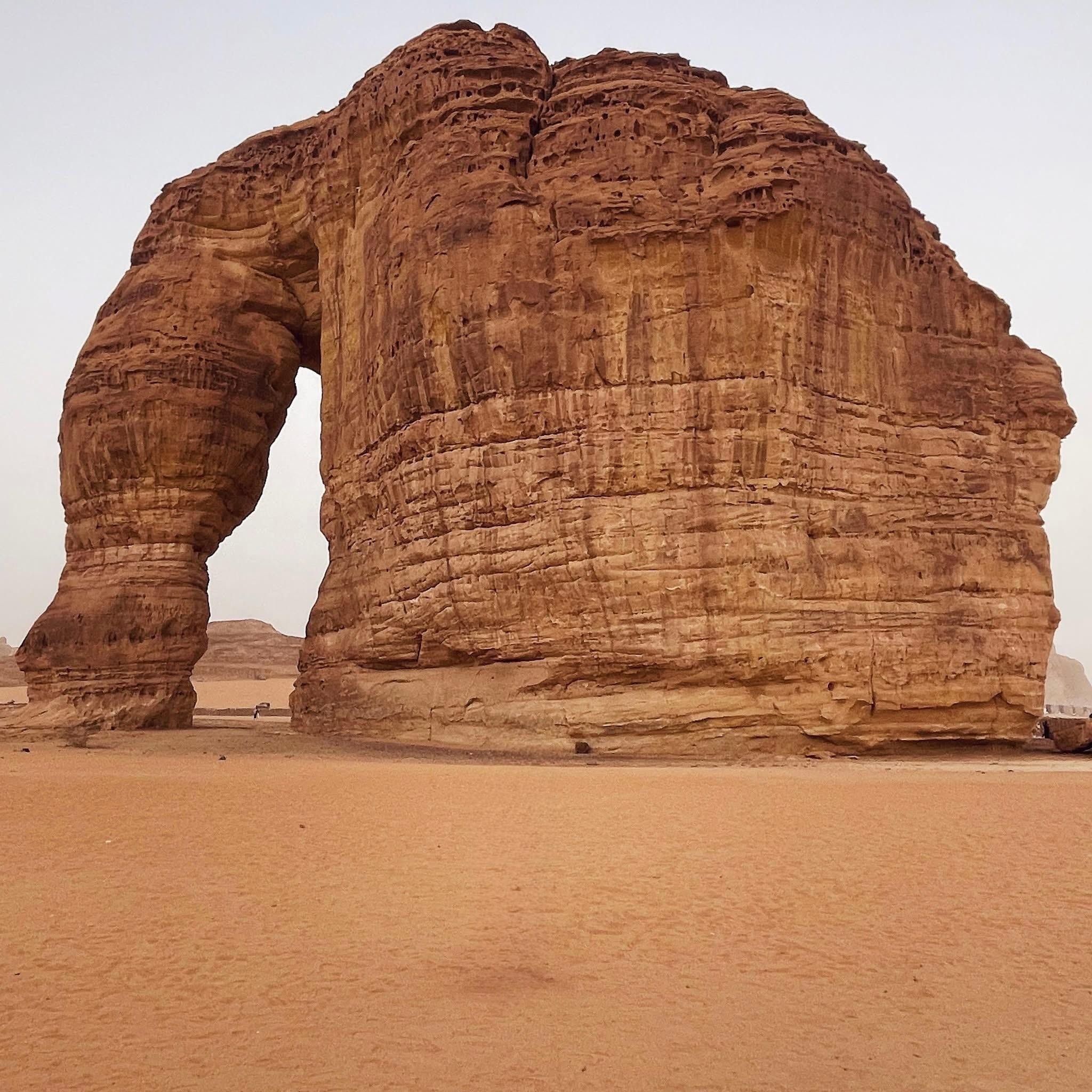 Al-Ula: Hegra, Old Town, and Rock Elephant walk tour — guided tour in Alula