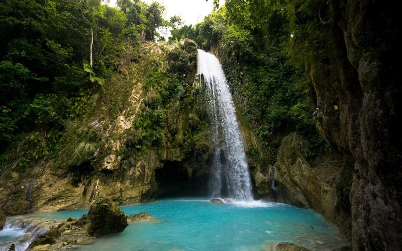 Cebu: Whale Shark, and Sumilon Sandbar and Inambakan Falls 3