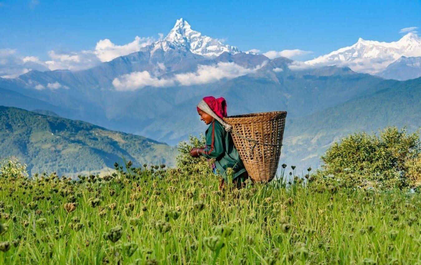 Pokhara : Day Hike to Astham & Dhampus Village 3