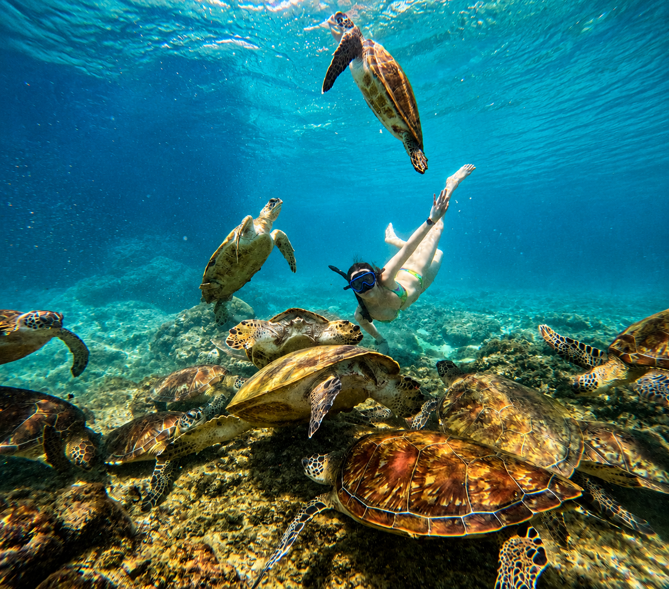 Oman: Daymaniyat Island Snorkeling Trip with Equipment 2