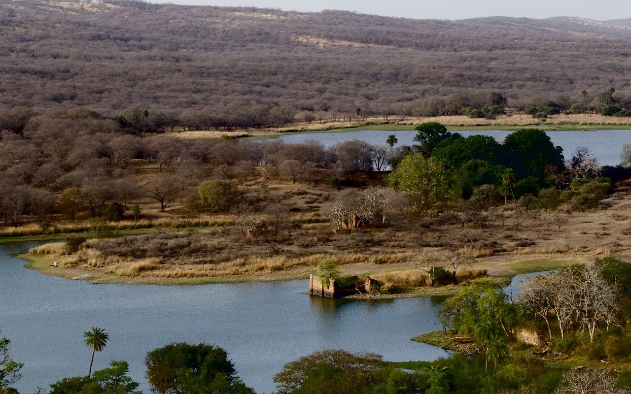 7 days india Taj Mahal tour with ranthambore tiger safari 2