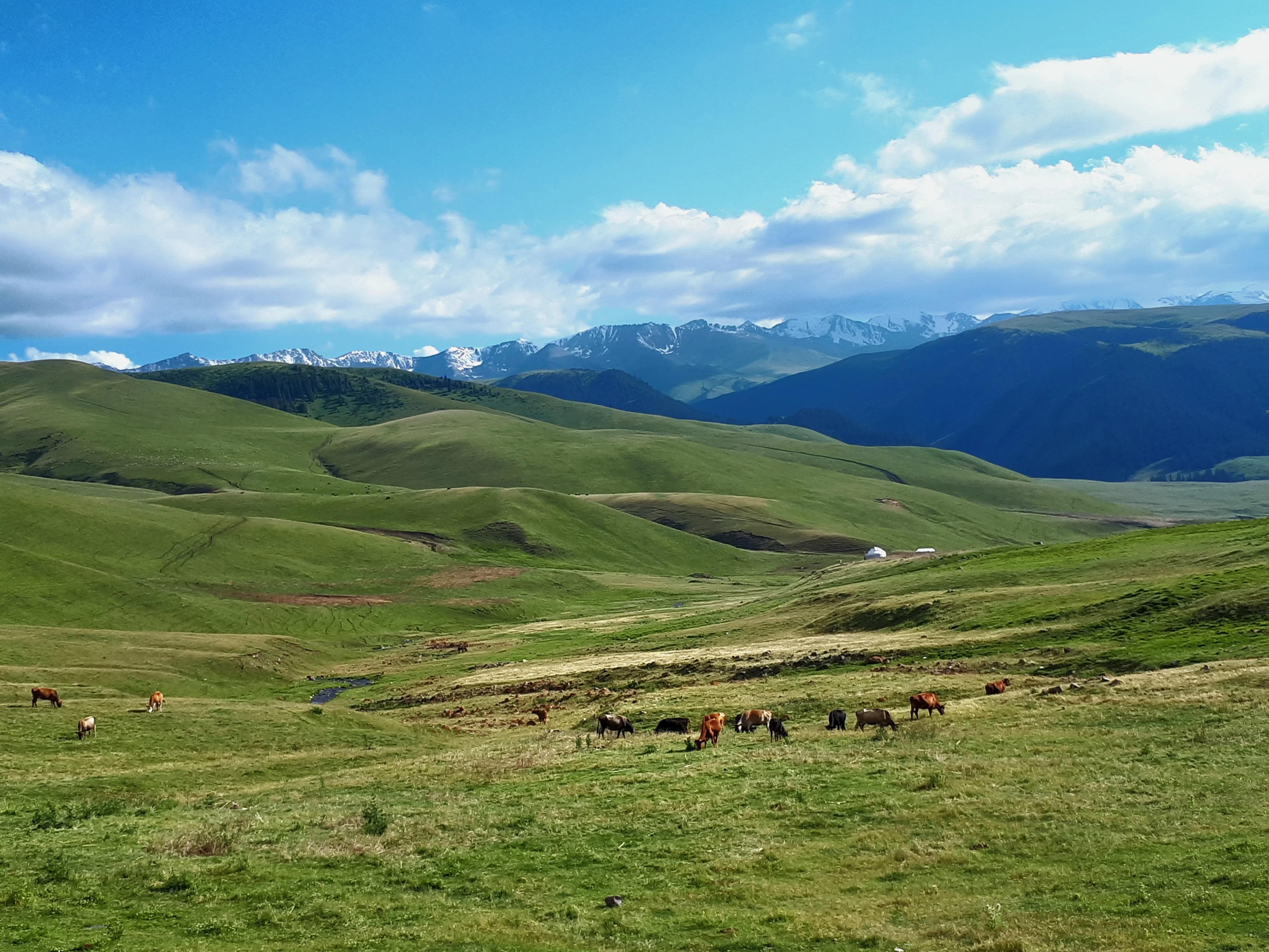Assy Plateau: Private Full-Day Jeep Tour