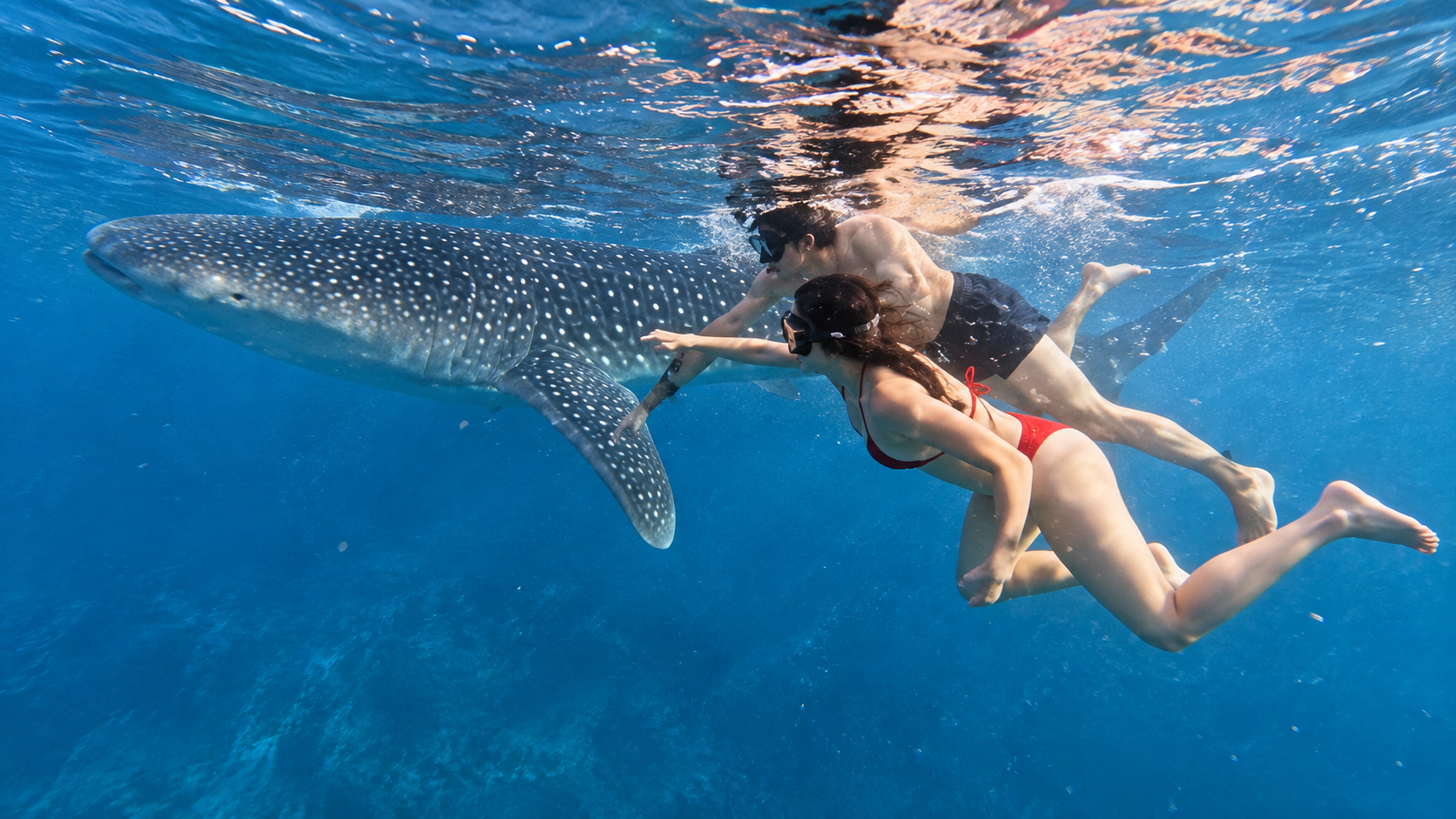 Oslob: Whaleshark Swimming, Inambakan Falls & Moalboal Tour 2