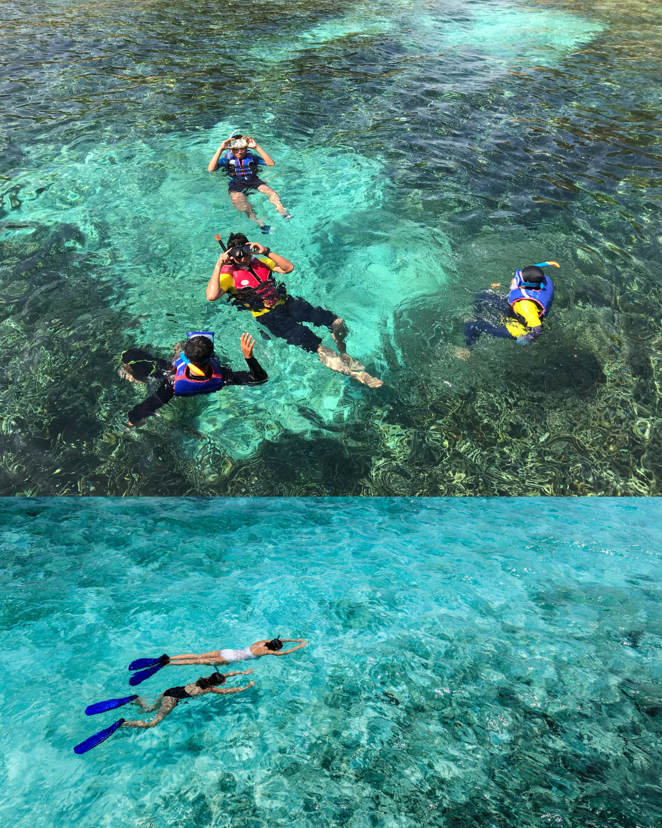 Cebu: Parasailing Ride Experience & Snorkeling Activity 3