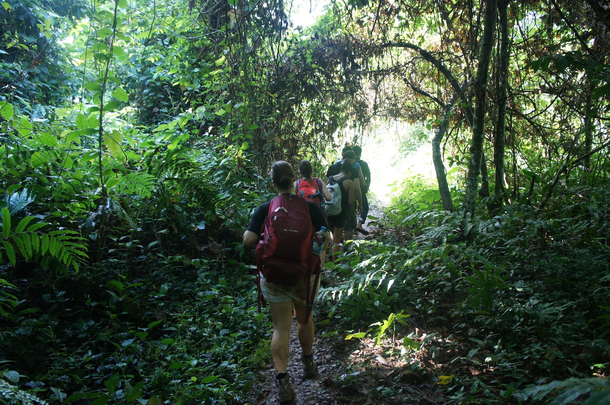 Vang Vieng: Jungle & Caves Full-Day Private Trekking Tour 2