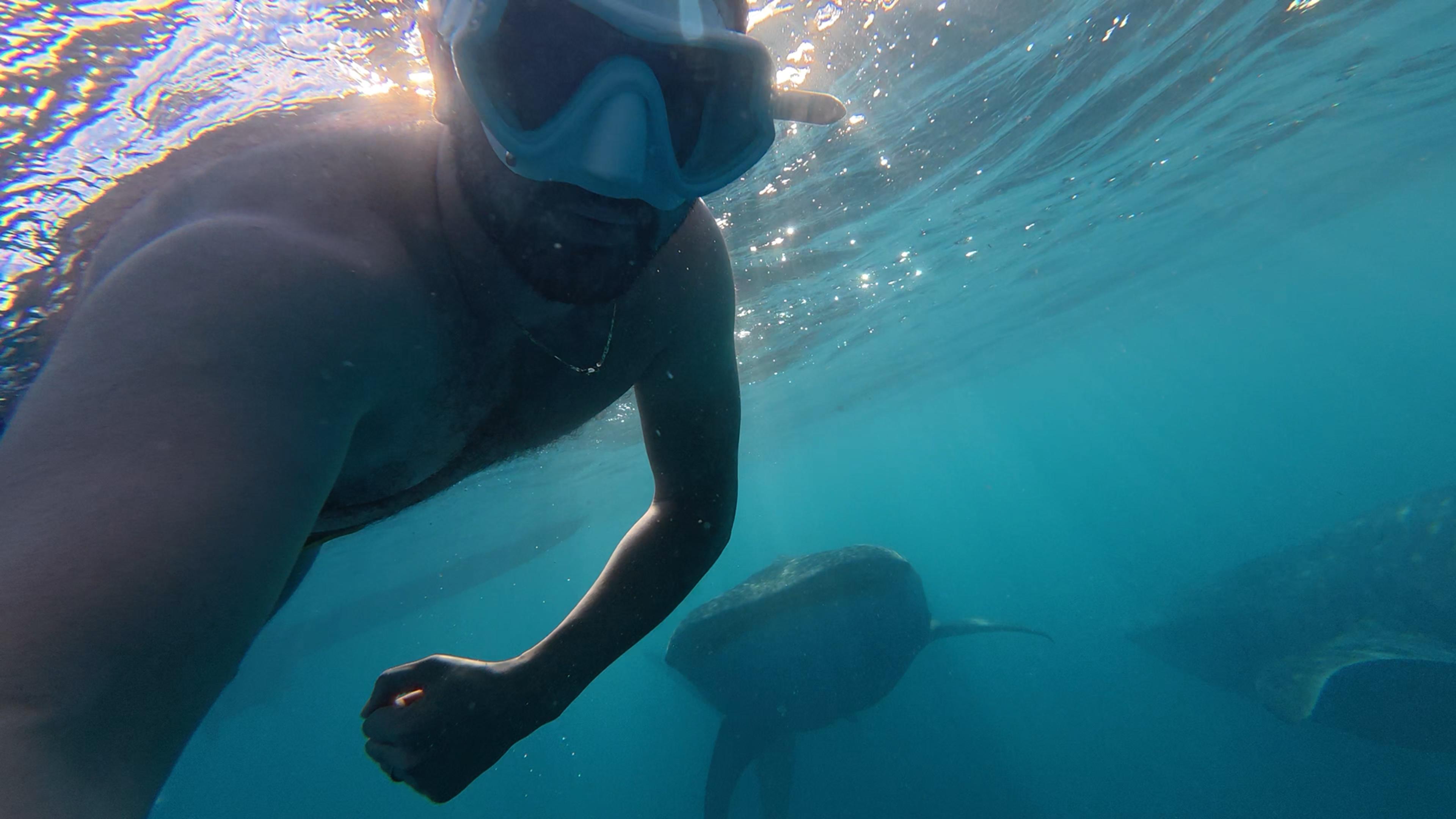 Cebu Oslob Whale Shark Swimming & Kawasan Falls Canyoneering