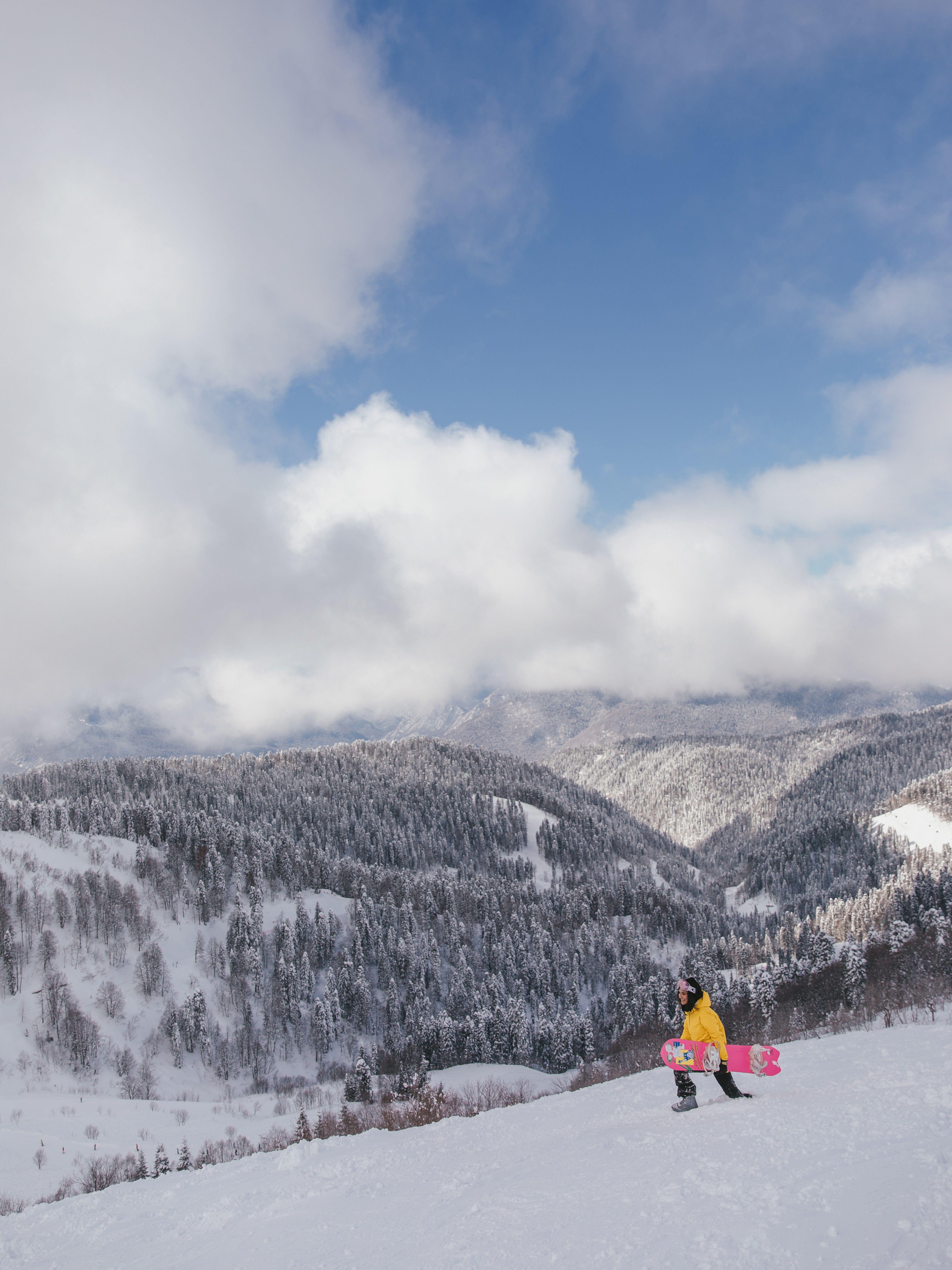 Tbilisi: Borjomi & Bakuriani Ski Resort Alpine Coaster Tour 3