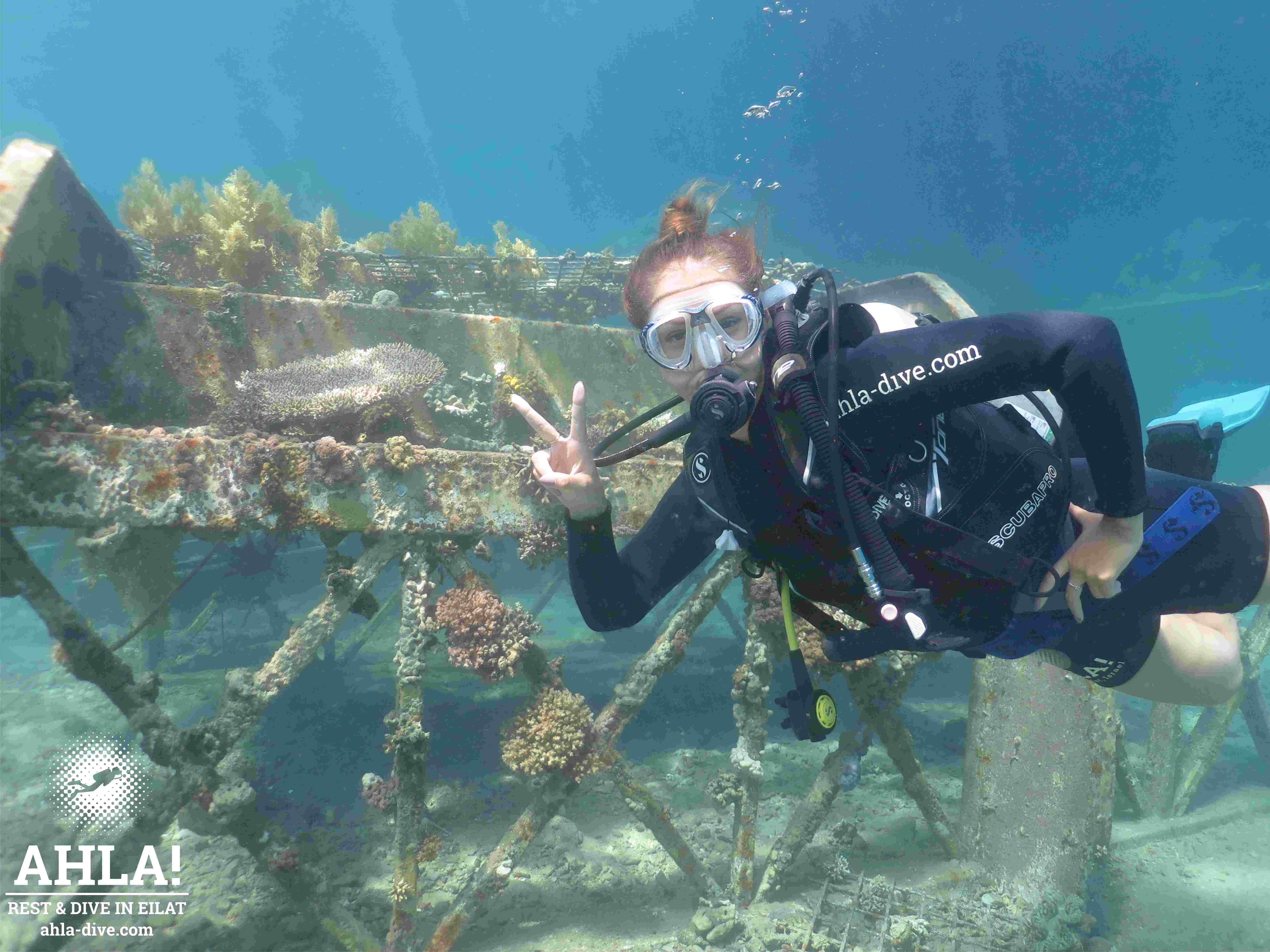 Eliat: Introduction to Scuba Diving 2