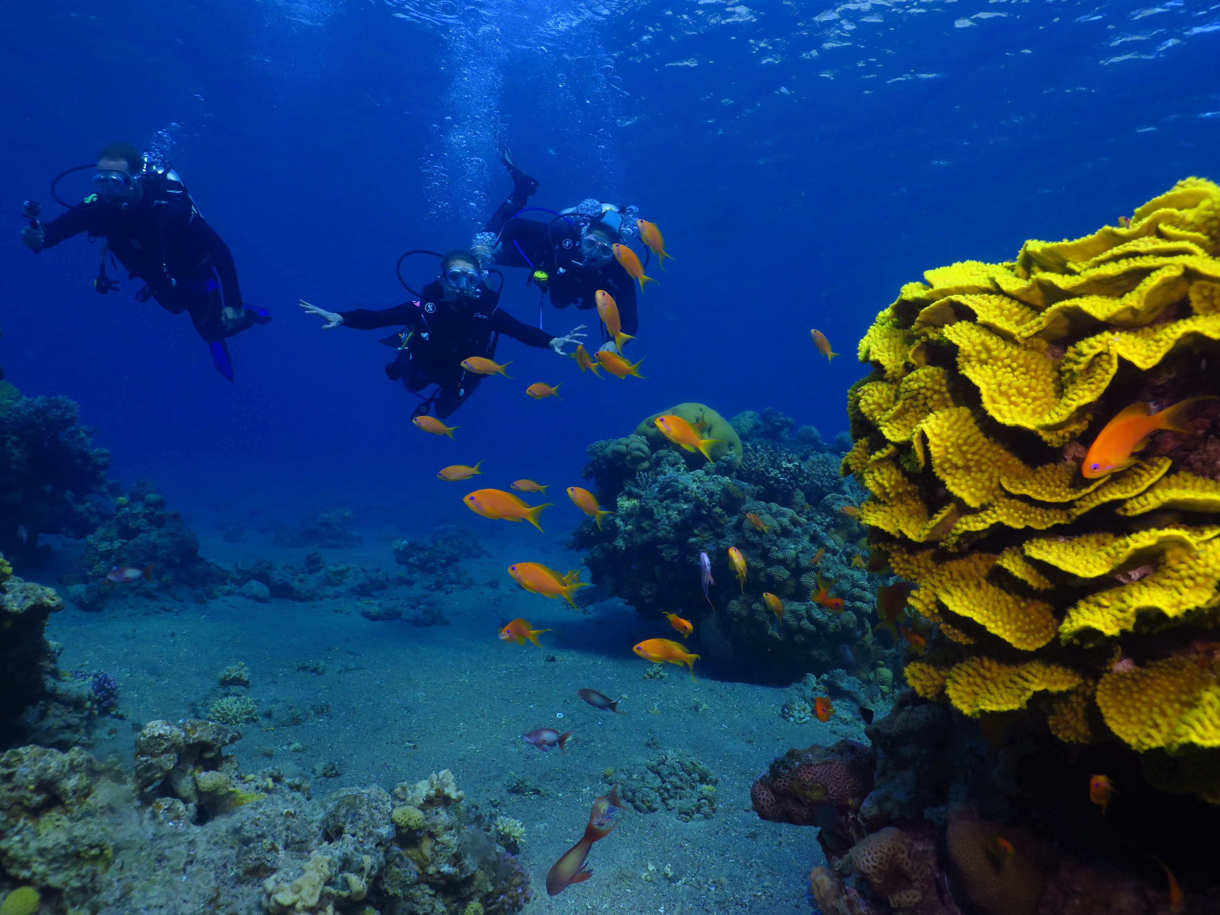 Eliat: Introduction to Scuba Diving 3