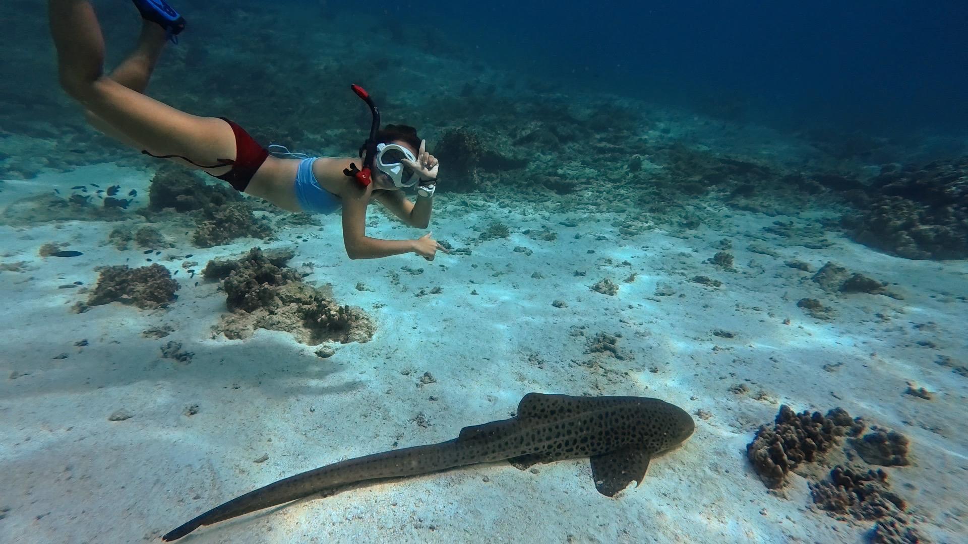 Muscat: Daymaniyat Islands Snorkeling with Sandwich, snacks 2