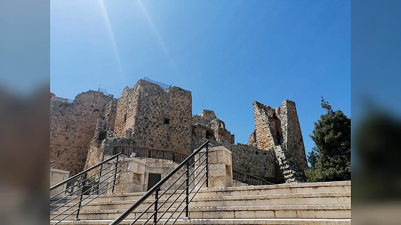 From Amman: Roman Citadel, Jerash, Ajloun Castle Tour 3