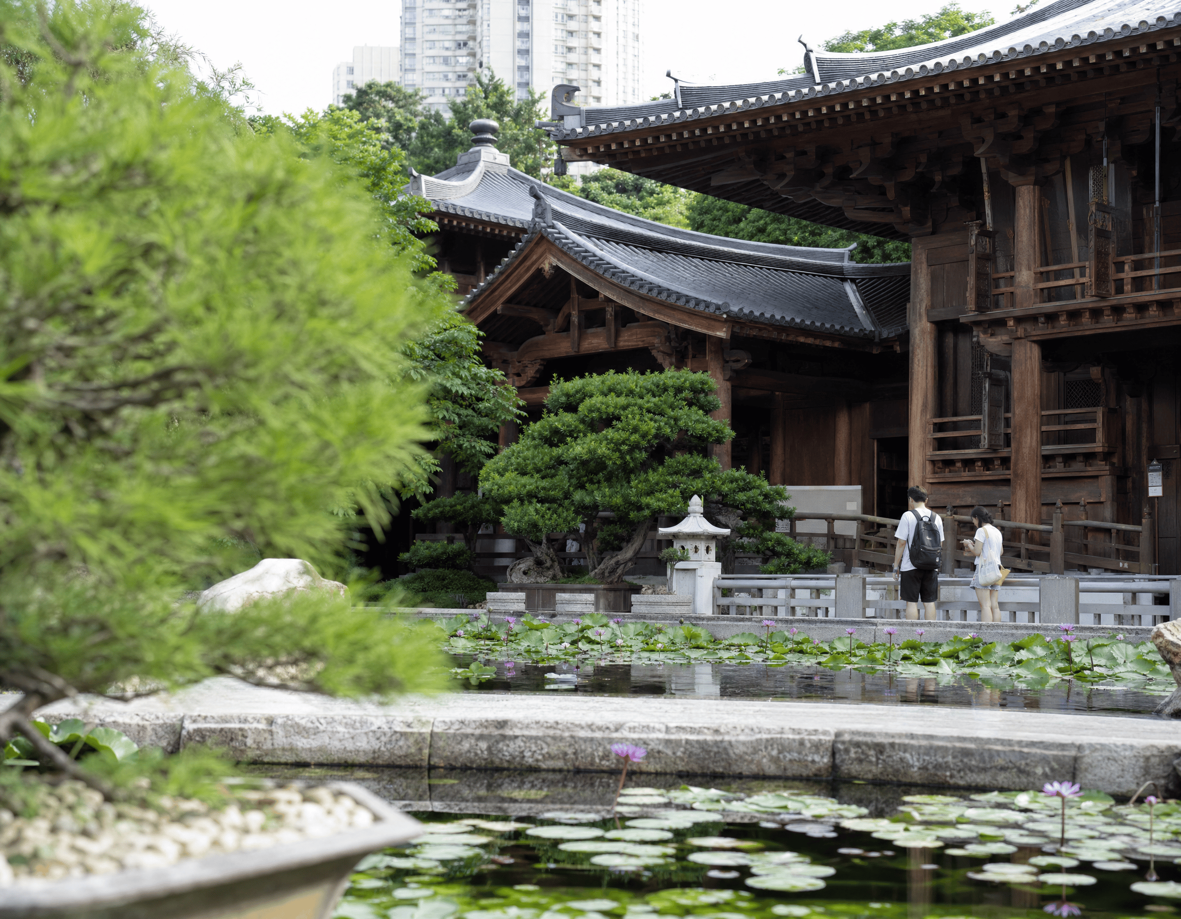 Hong Kong: Nan Lian Garden, Chi Lin Nunnery & Temple Tour 3