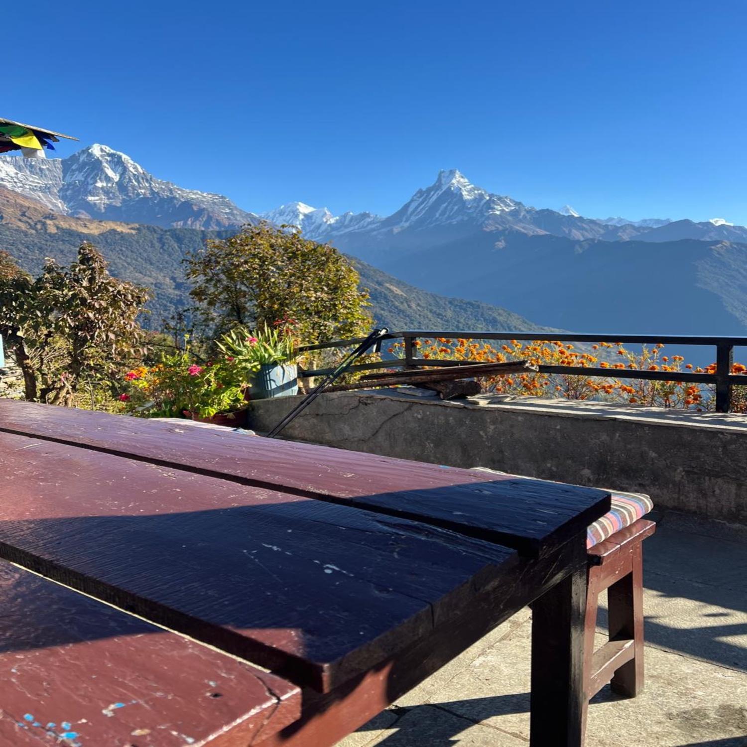 From Pokhara: 3-Day Ghorepani–Poon Hill–Ghandruk Loop Trek 3