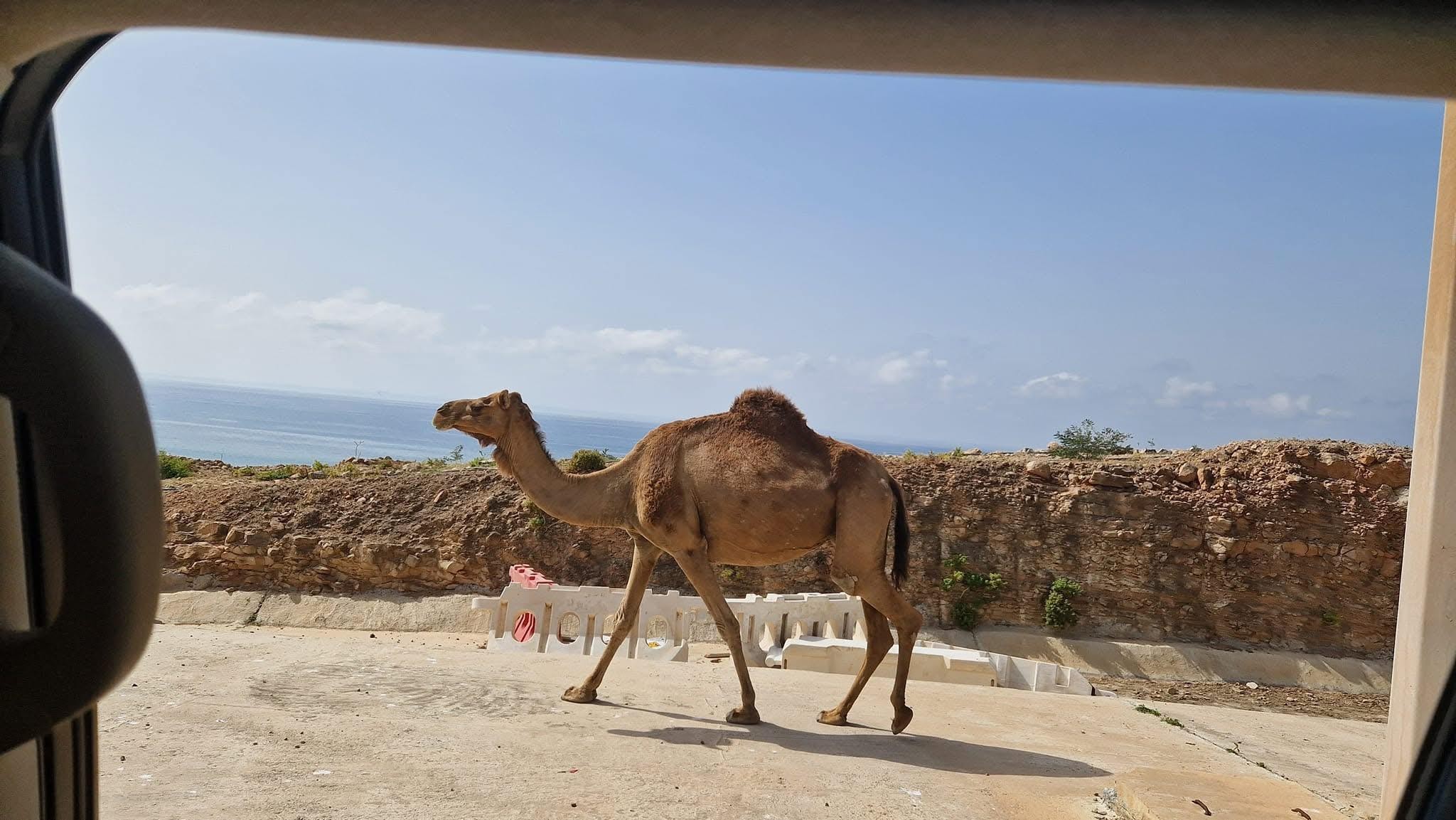 East Salalah by Day & Night: Camels, Waterfalls & Souqs Tour 2