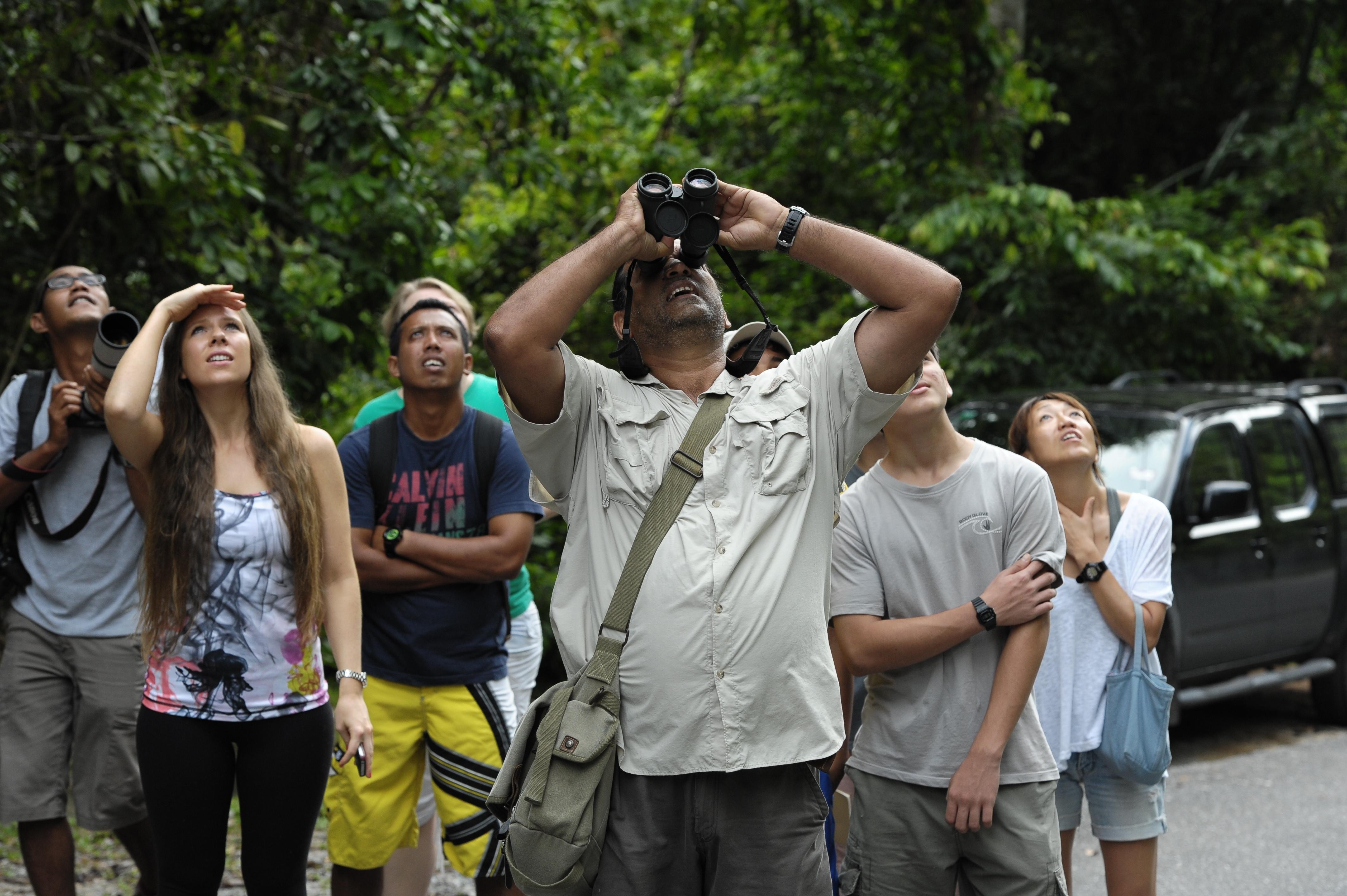 Langkawi Half Day Birdwatching Tour 2