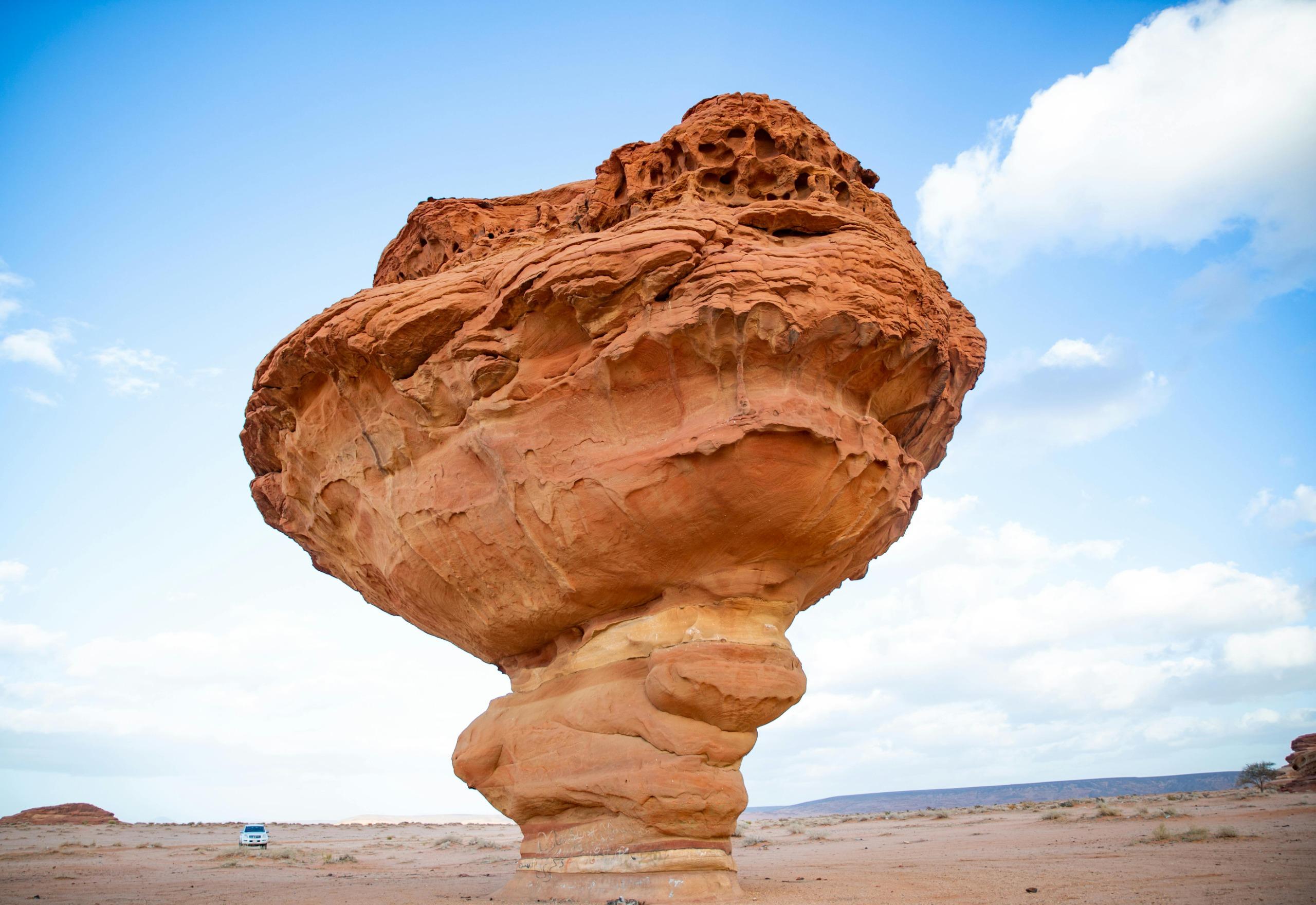 West of Qatar Richard Serra, Mushroom Hills, CamelRace track 2